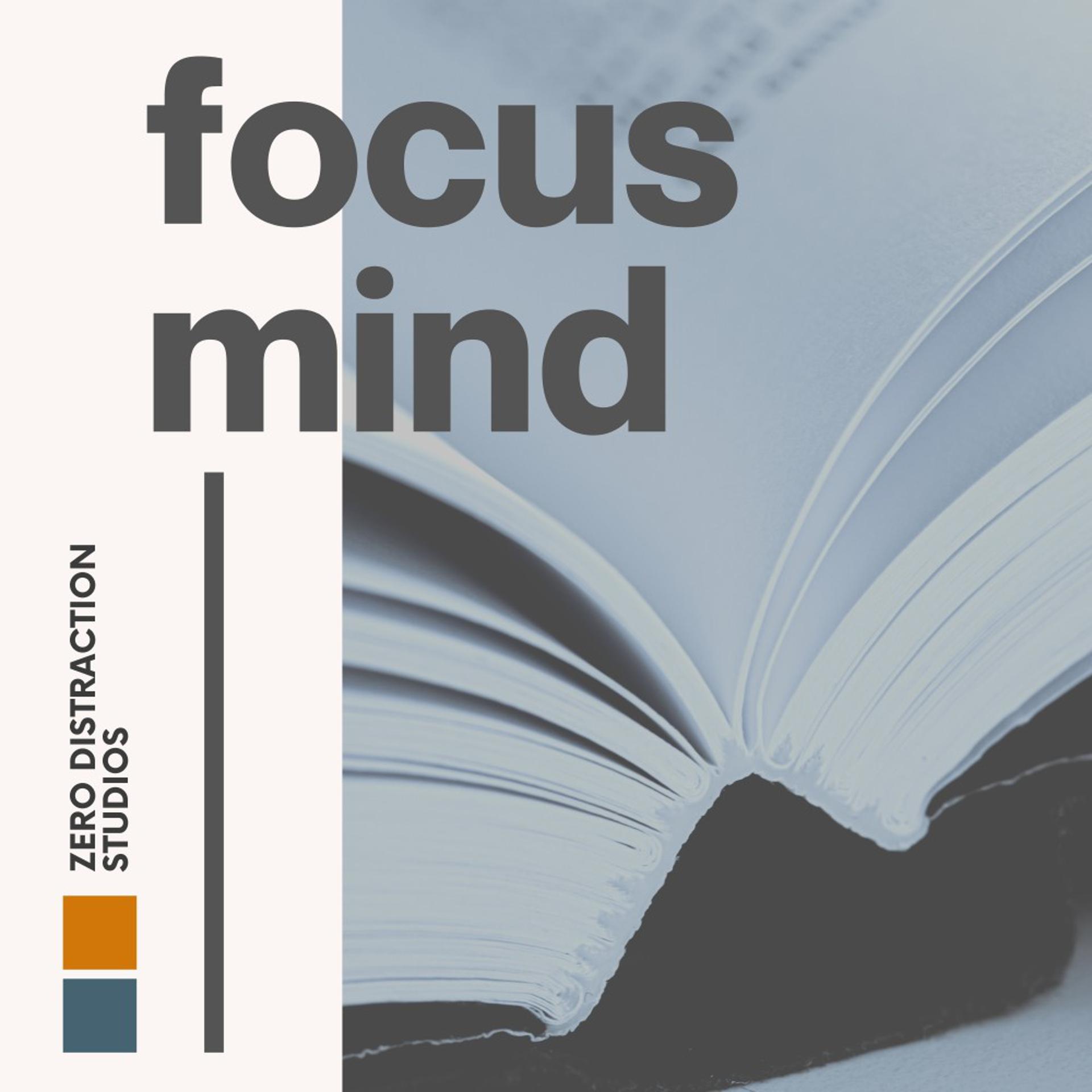 Постер альбома Focus Mind