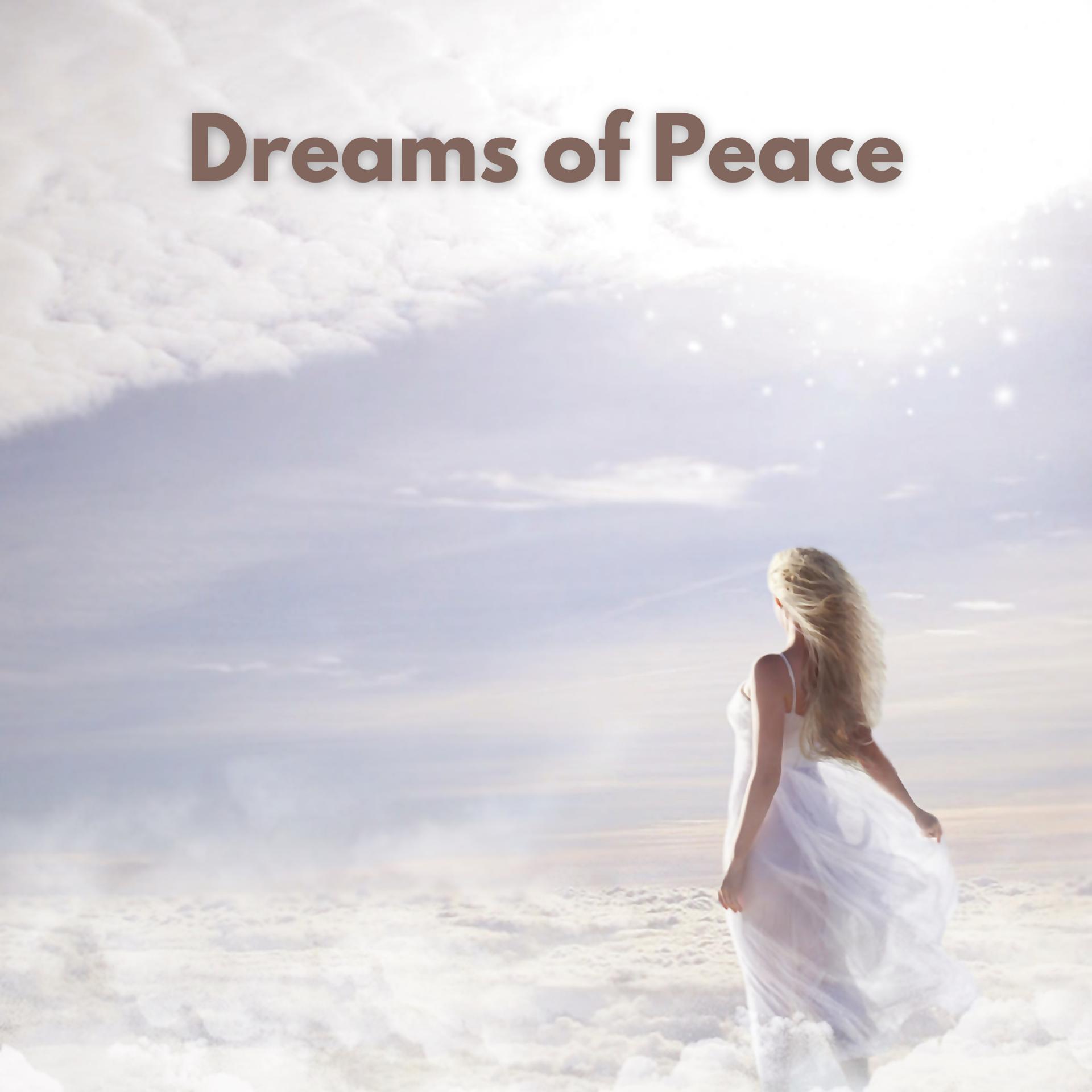 Постер альбома Dreams of Peace