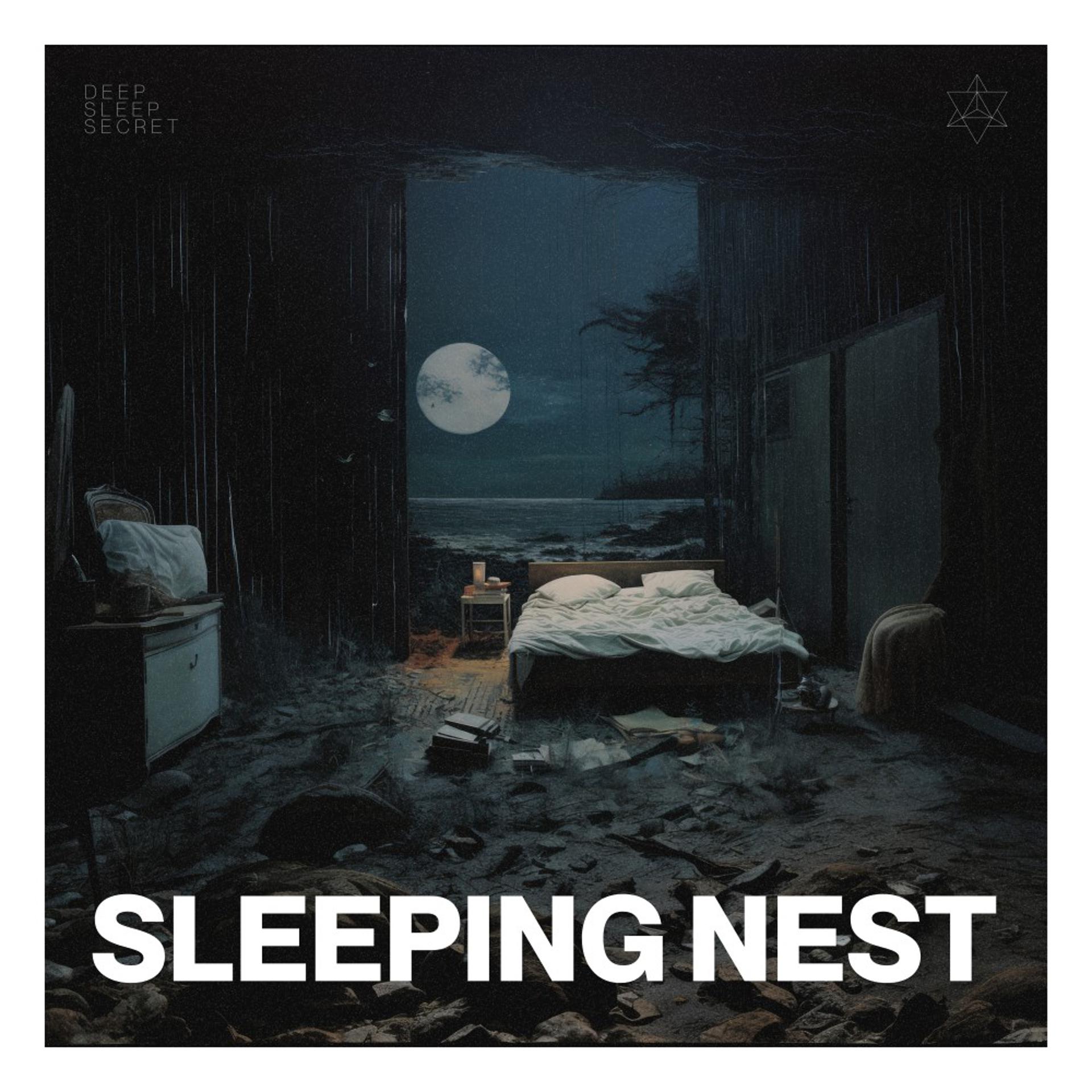 Постер альбома Sleeping Nest