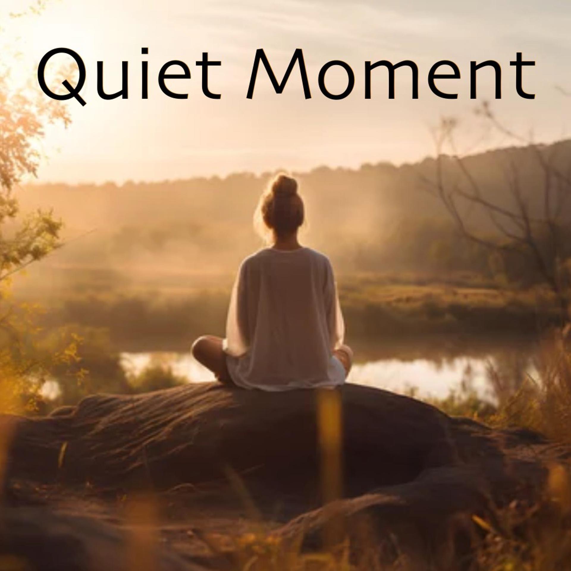 Постер альбома Quiet Moment