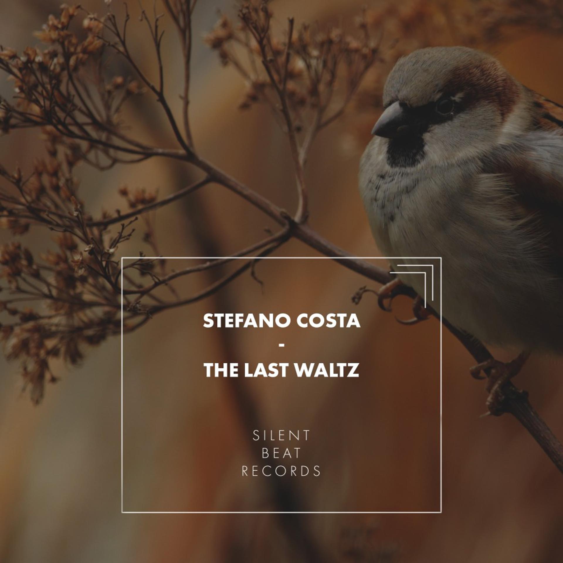 Постер альбома The Last Waltz