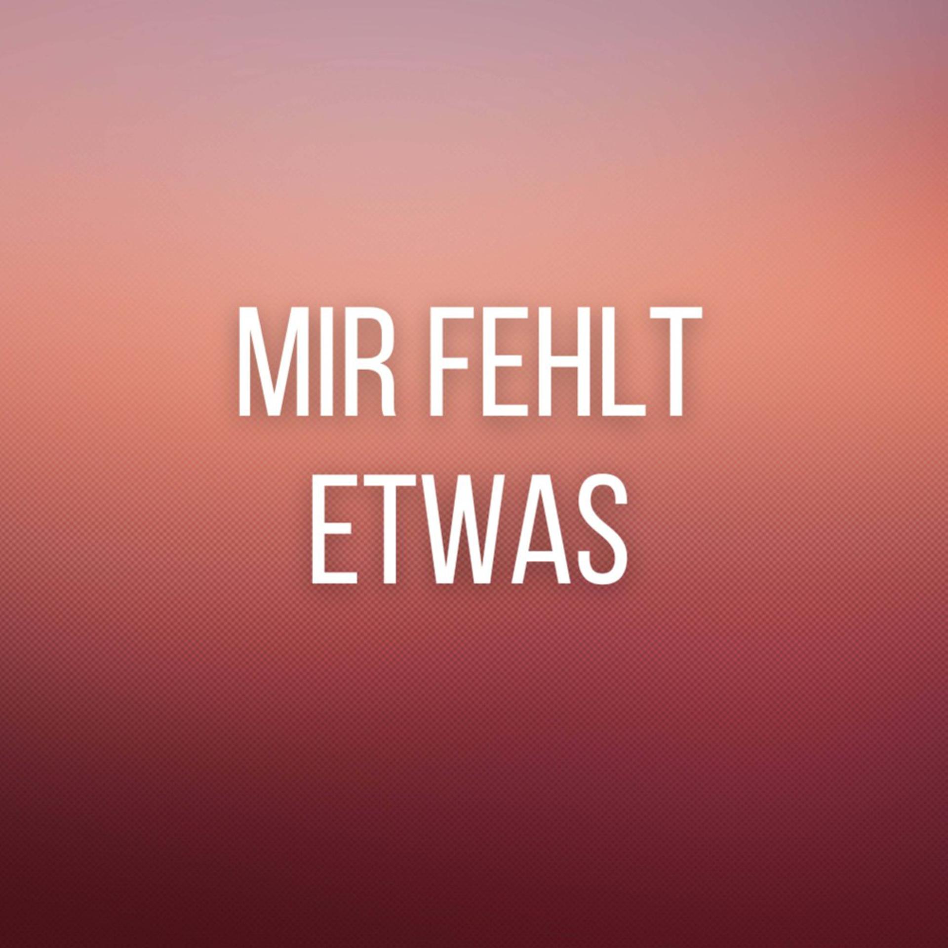 Постер альбома Mir fehlt etwas (Pastiche/Remix/Mashup)