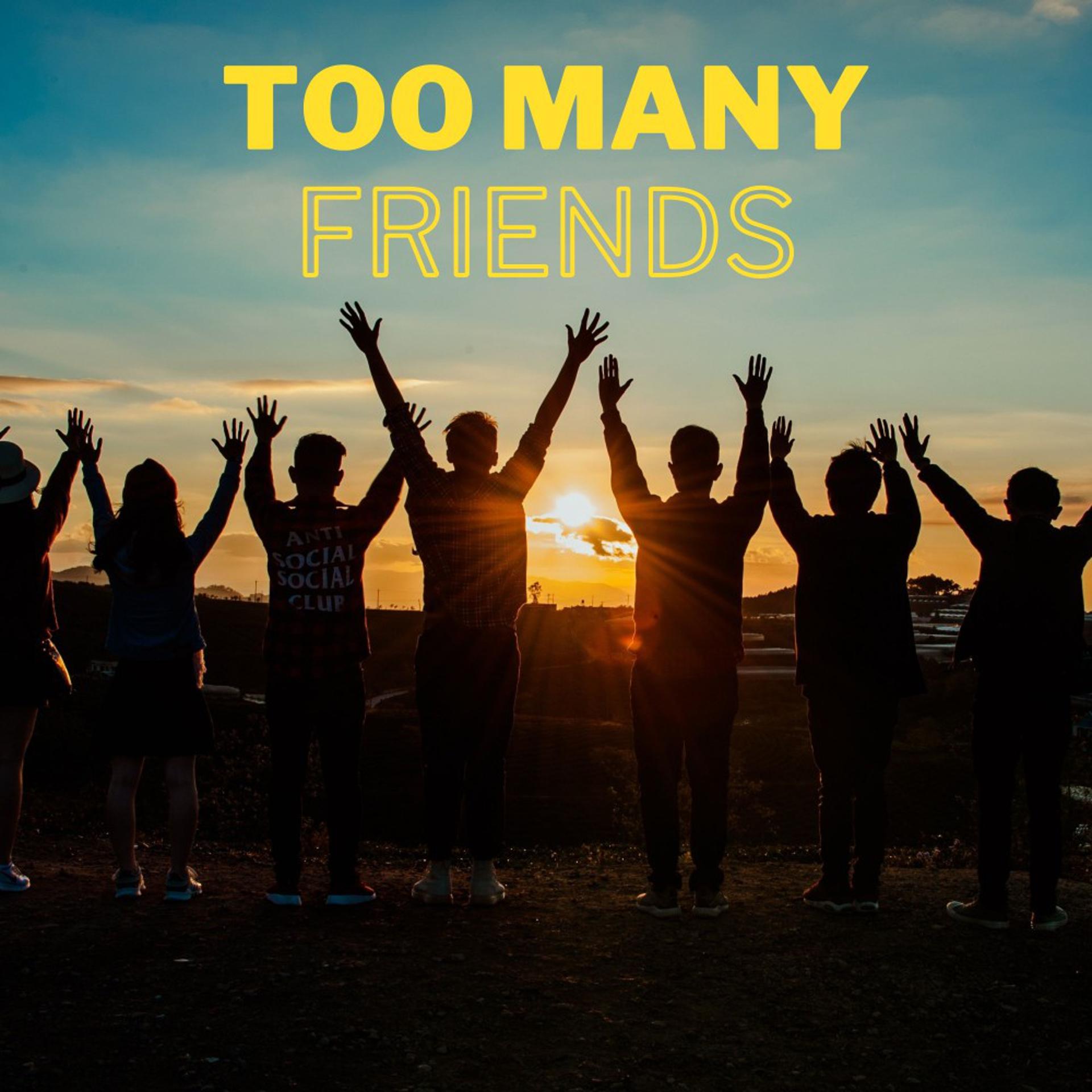 Постер альбома Too Many Friends