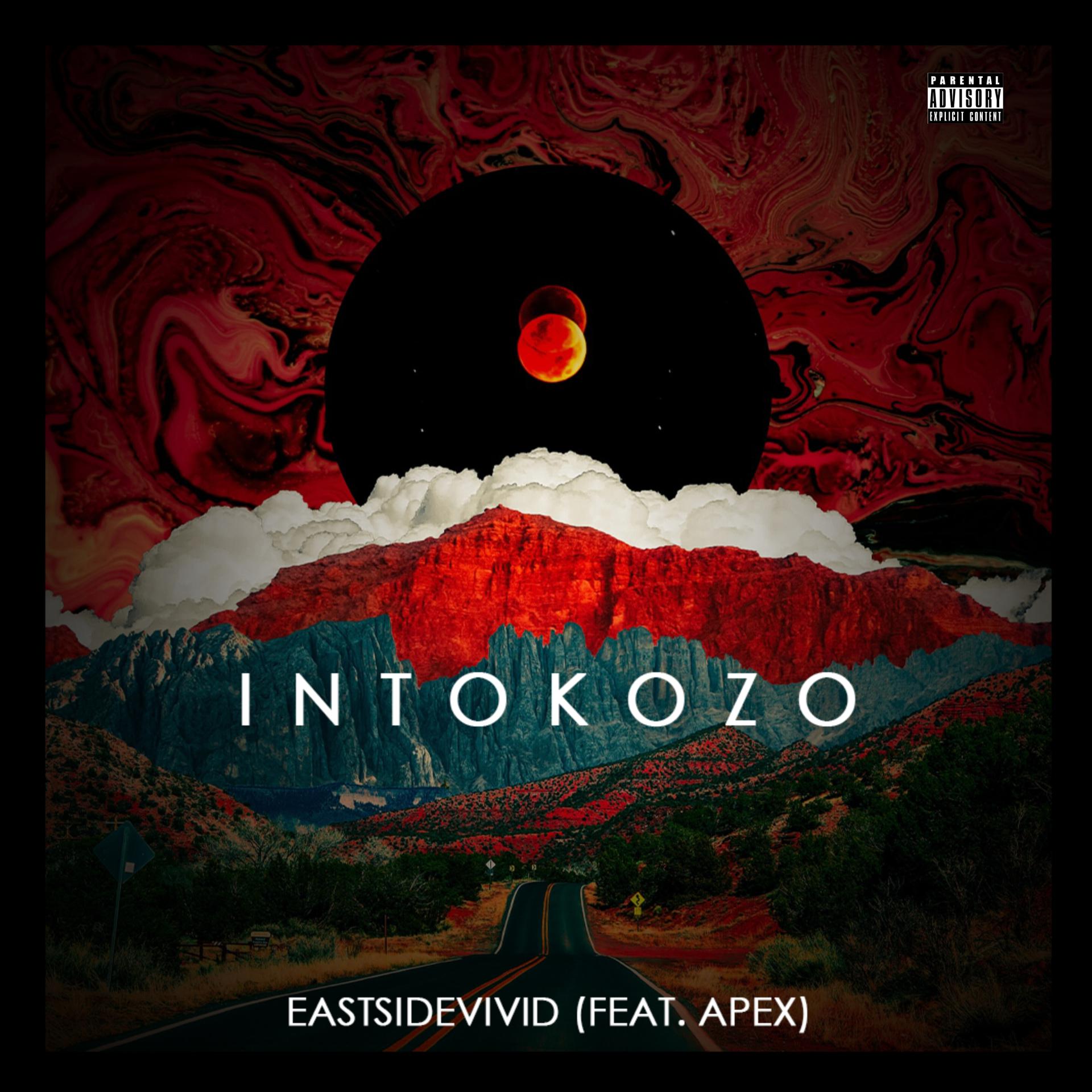 Постер альбома Intokozo