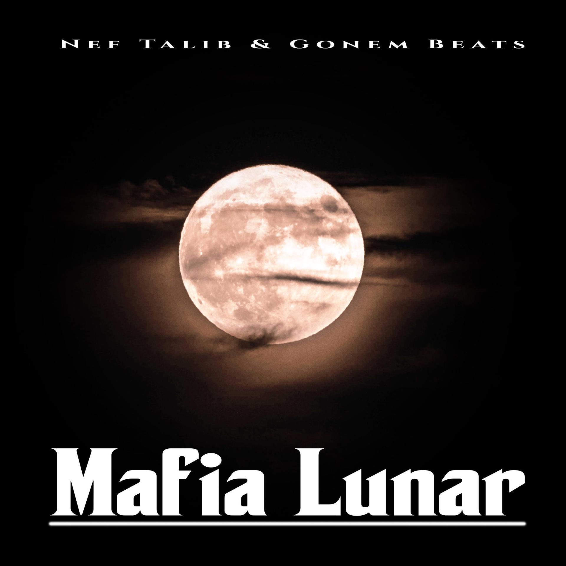 Постер альбома Mafia Lunar