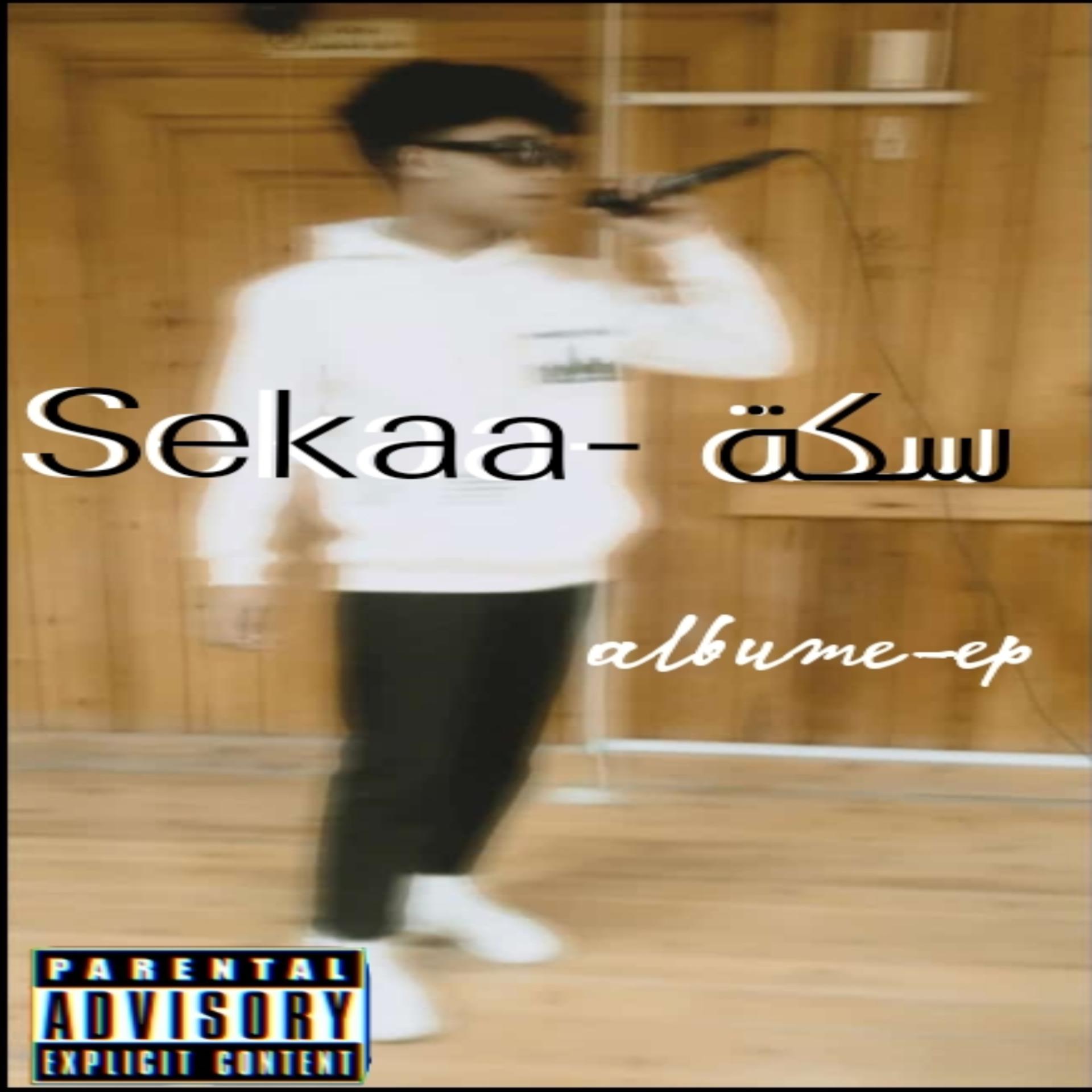 Постер альбома Sekaa