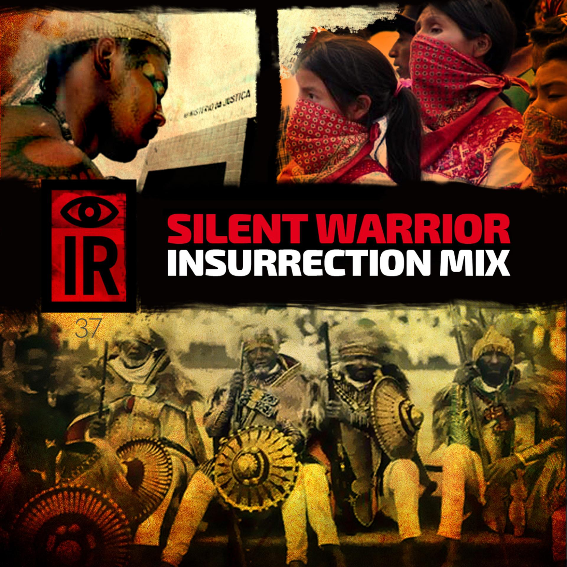 Постер альбома IR37 Silent Warrior