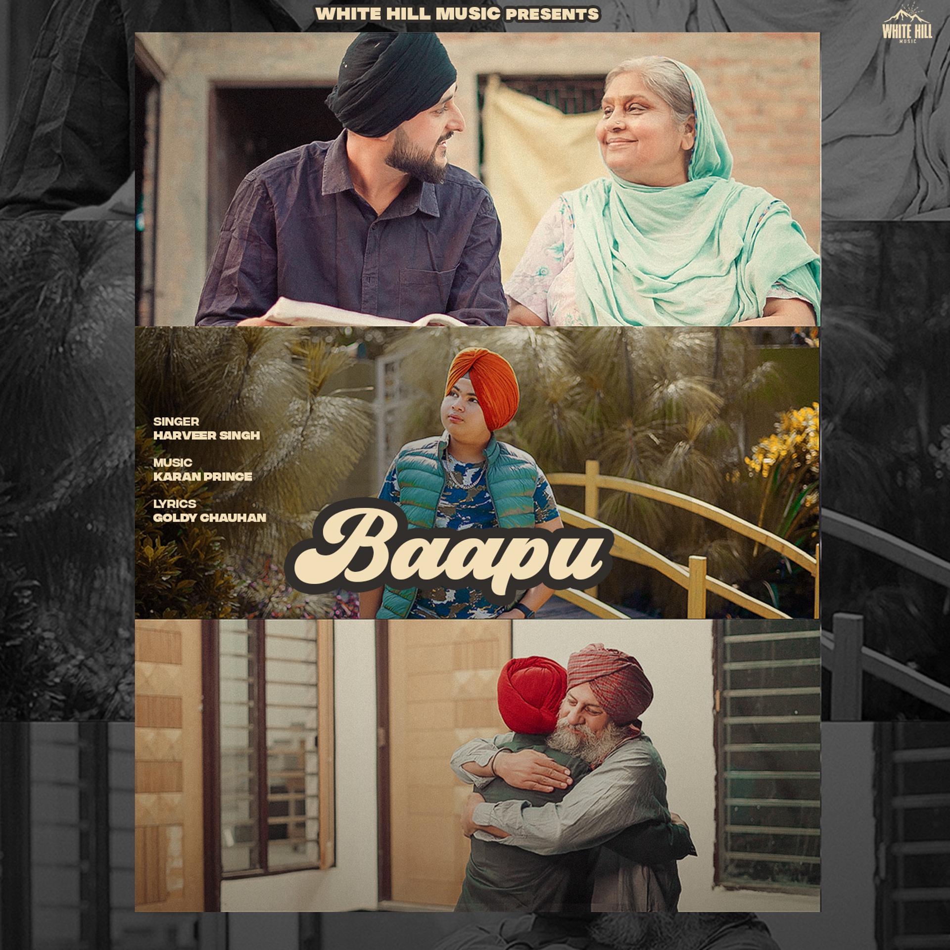 Постер альбома Baapu