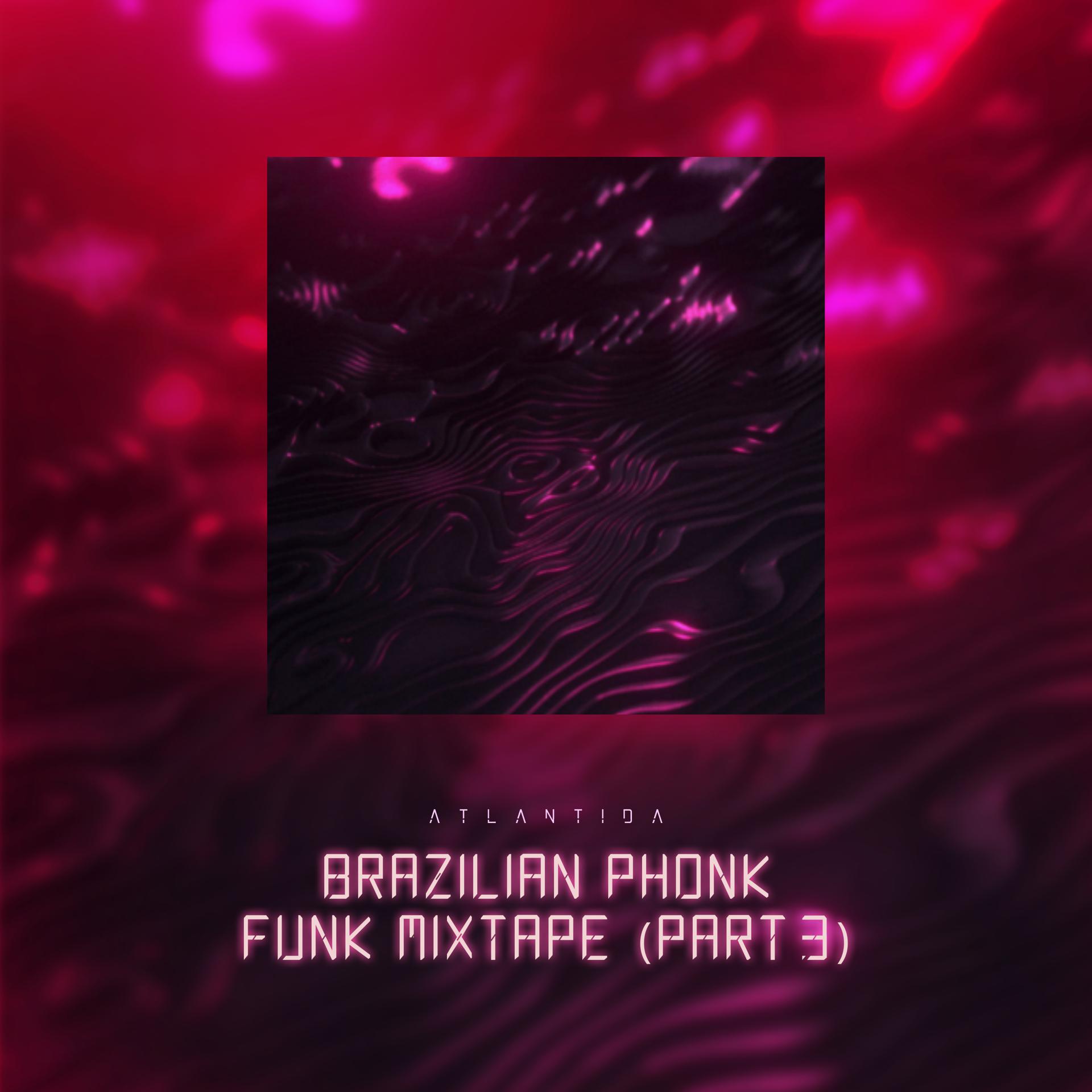 Постер альбома Brazilian Phonk Funk Mixtape, Pt. 3