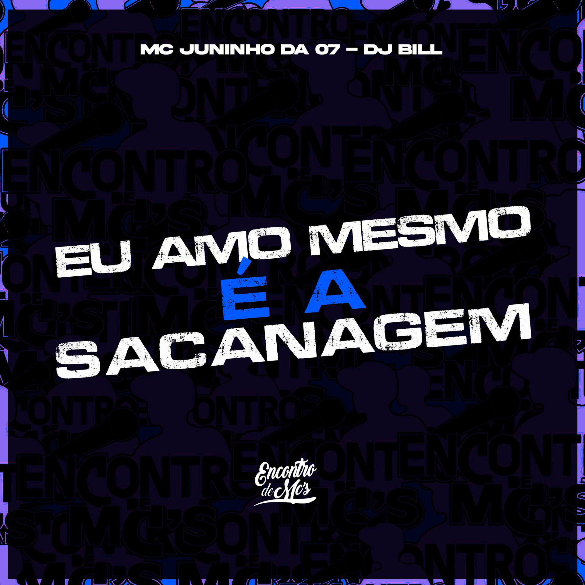 Постер альбома Eu Amo Mesmo e a Sacanagem