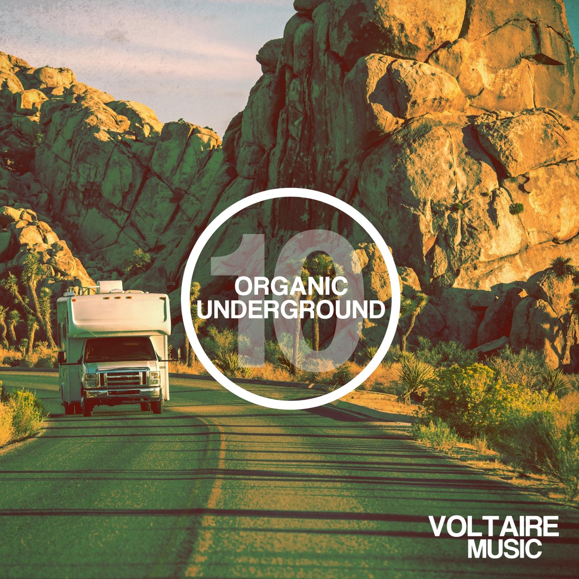 Постер альбома Organic Underground Issue 10