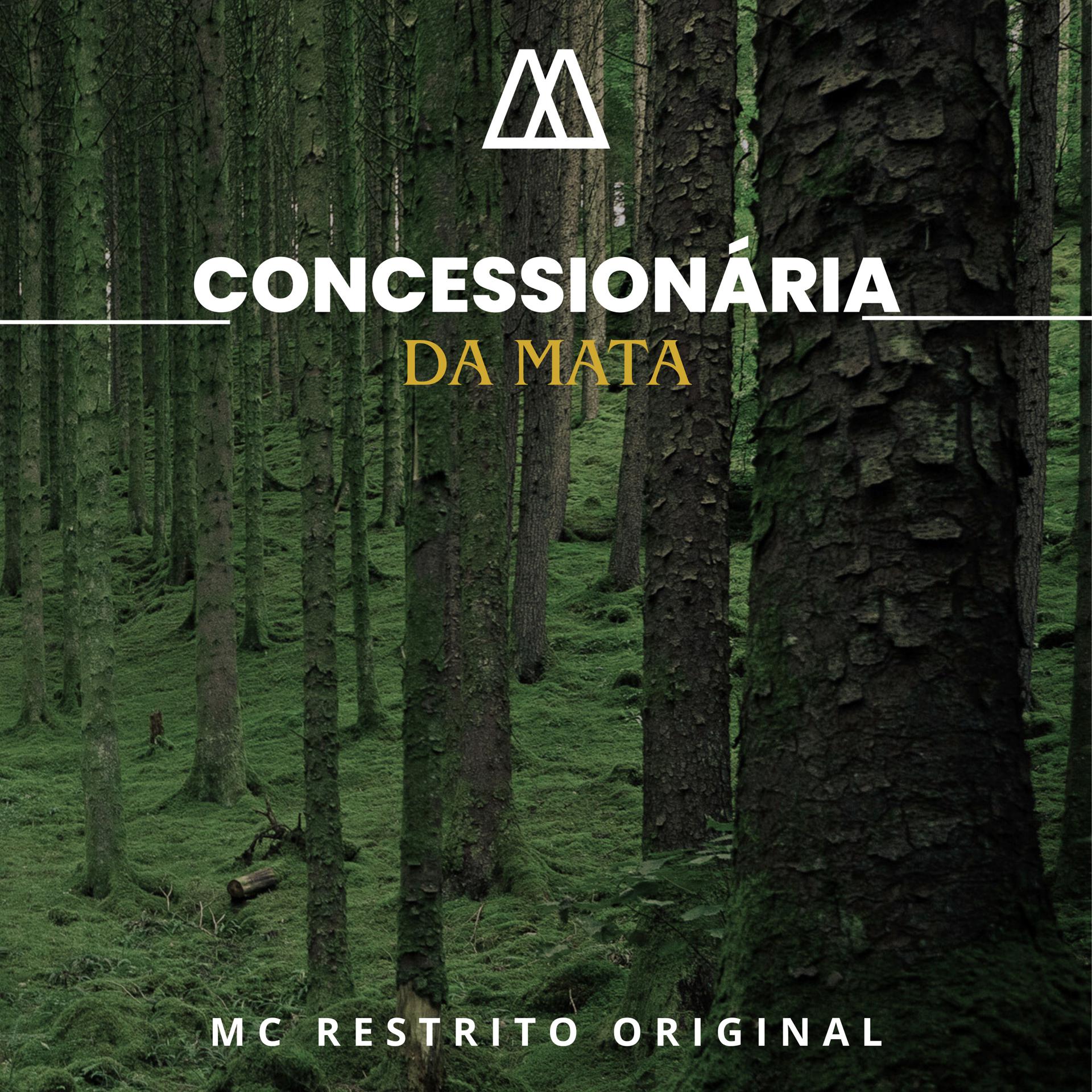Постер альбома Concessionária da Mata