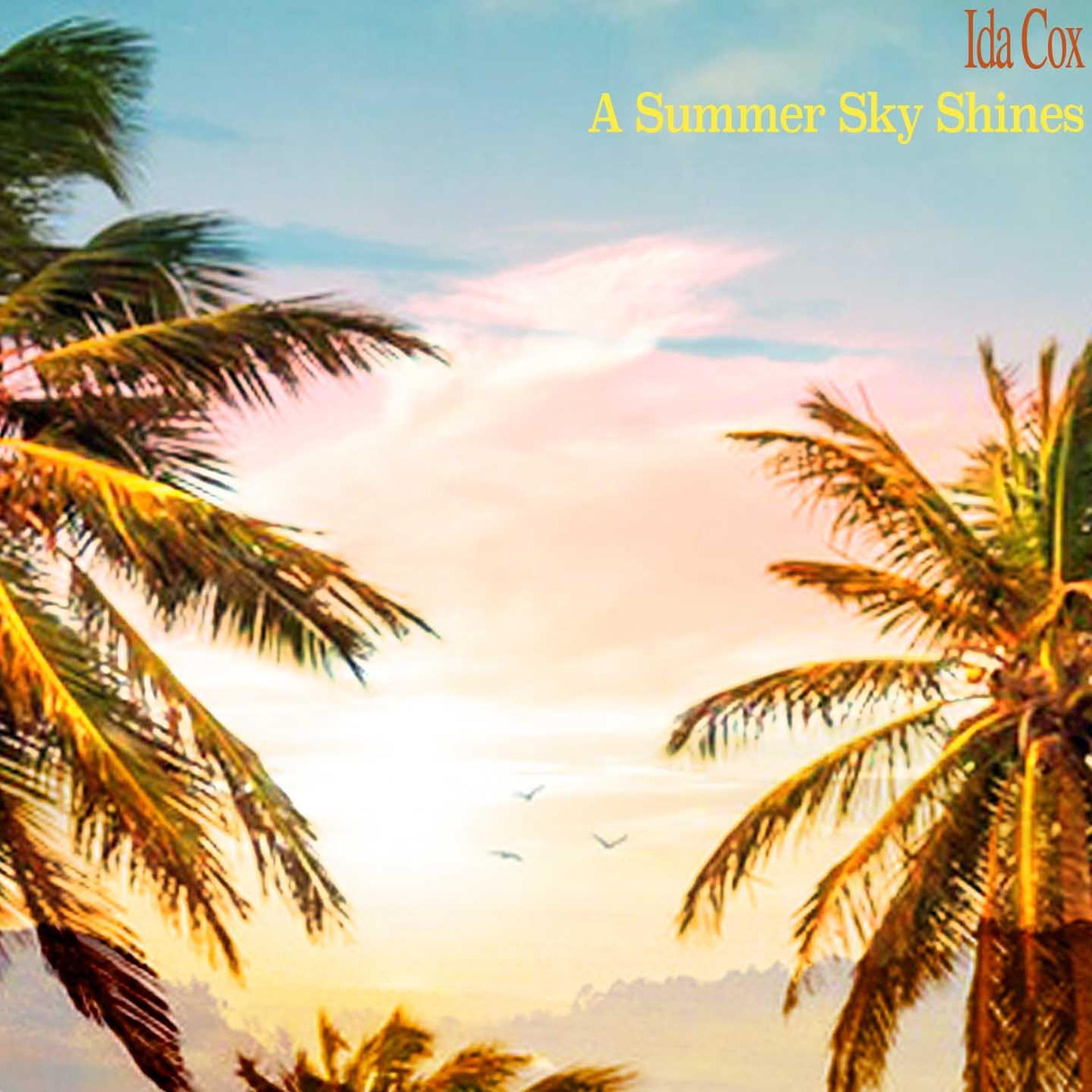 Постер альбома A Summer Sky Shines