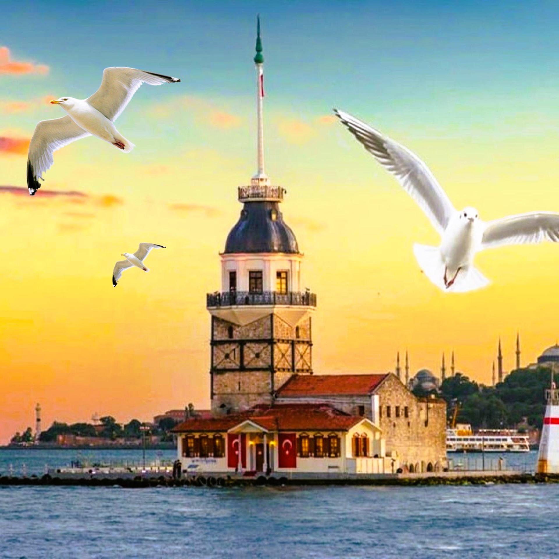 Постер альбома Göçmen Kızı