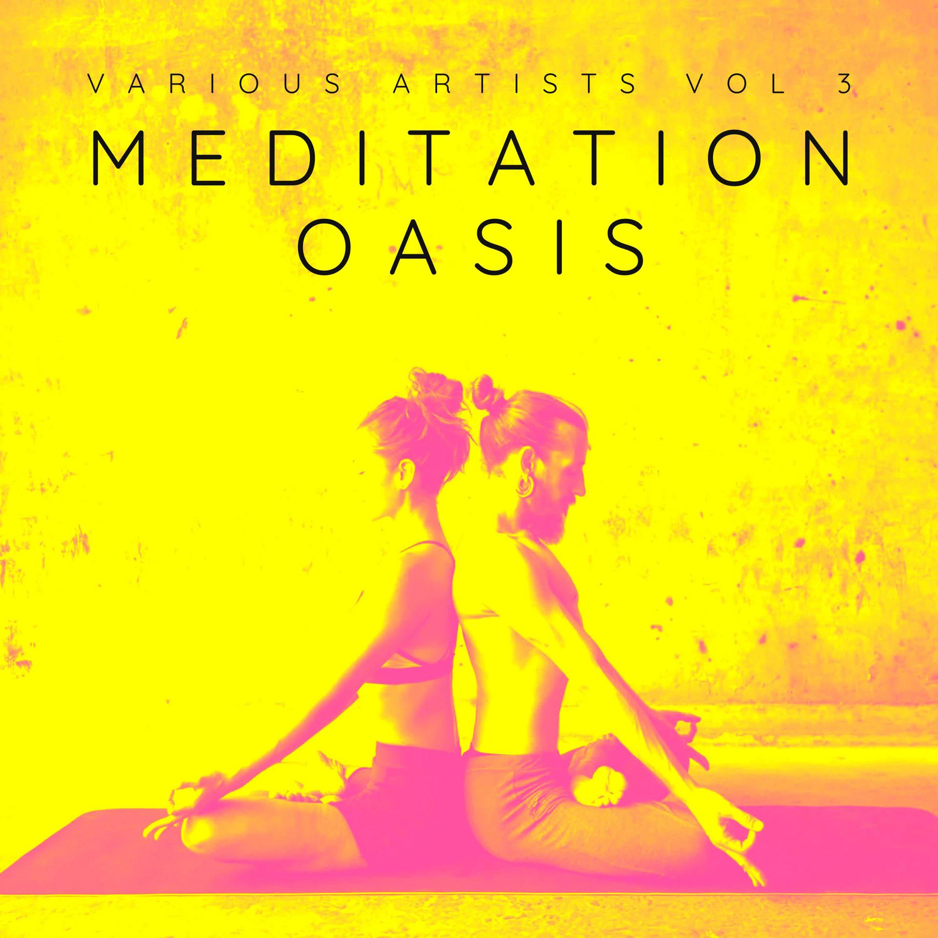 Постер альбома Meditation Oasis, Vol. 3