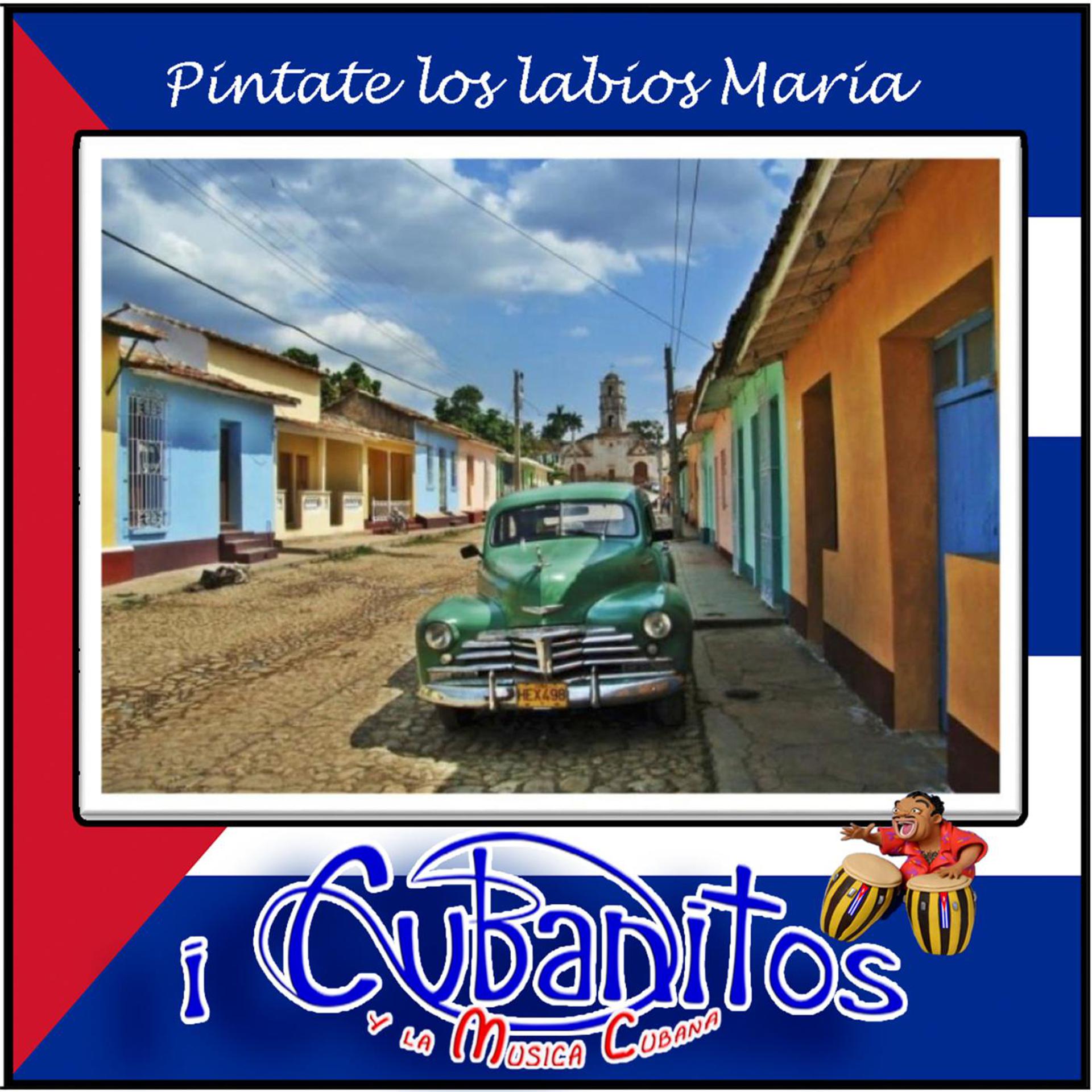 Постер альбома Pintate Los Labios Maria