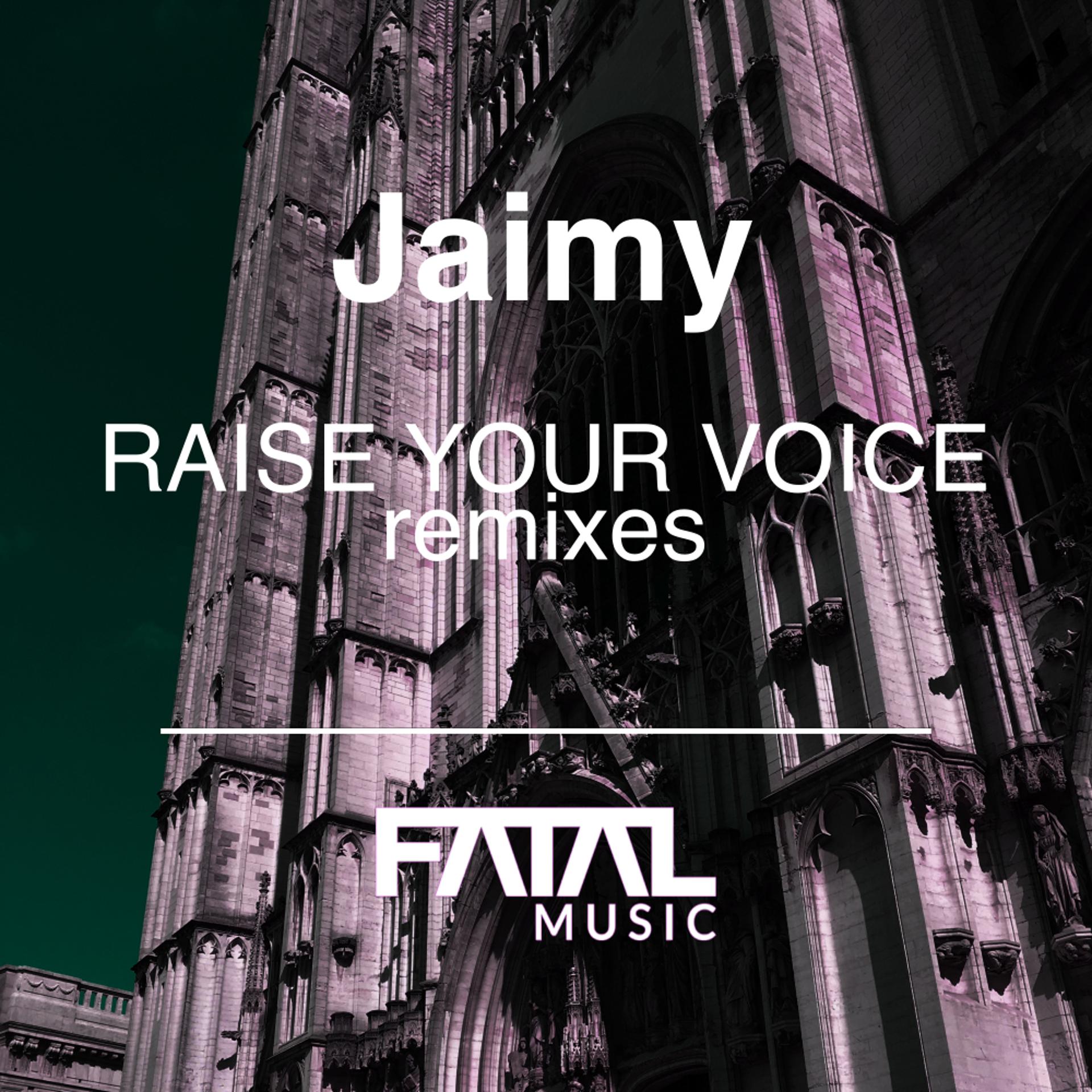 Постер альбома Raise Your Voices (Remixes)