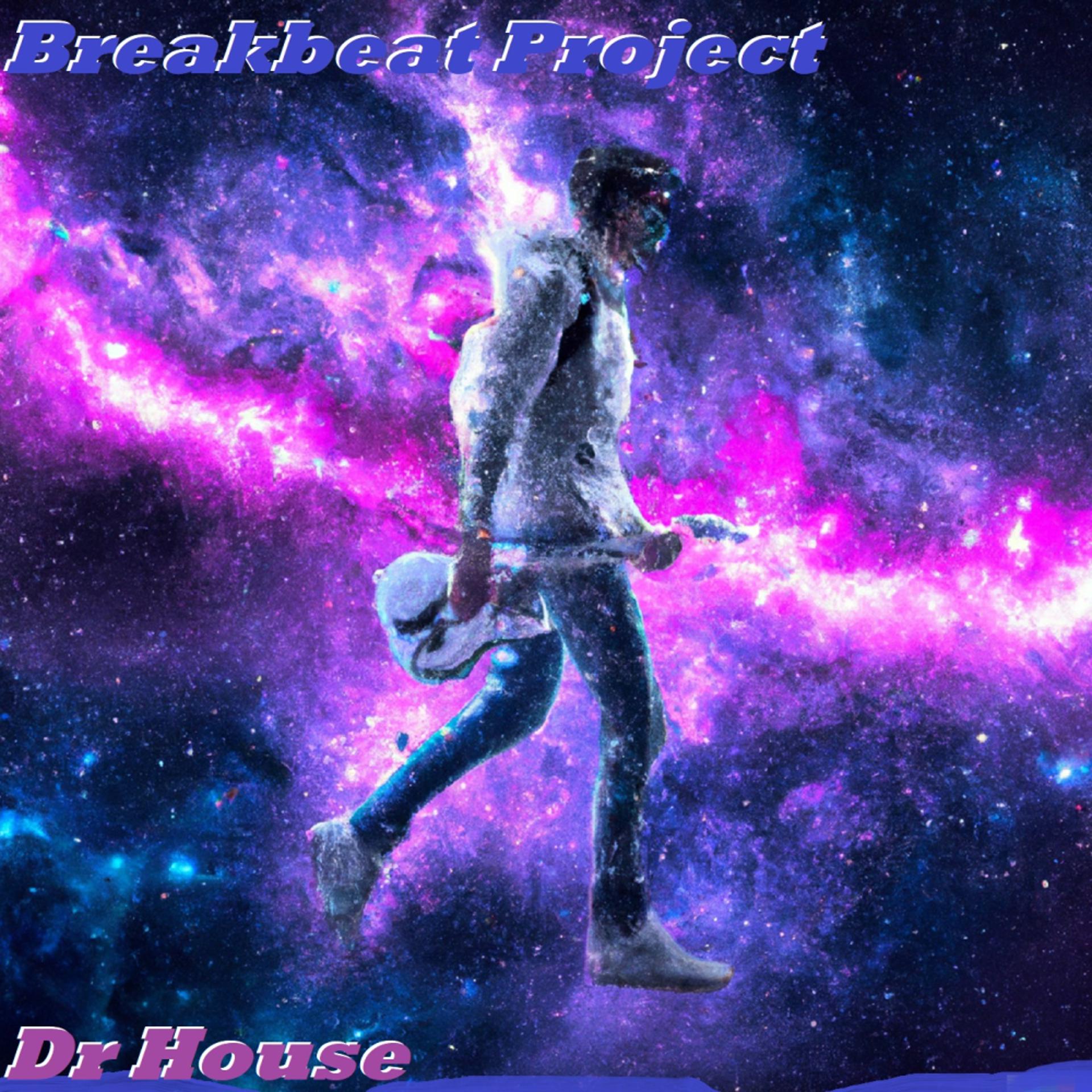Постер альбома Breakbeat Project