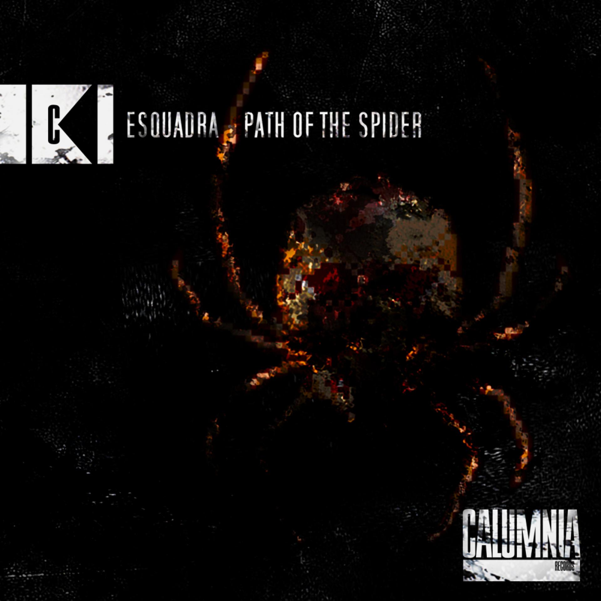 Постер альбома Path Of The Spider