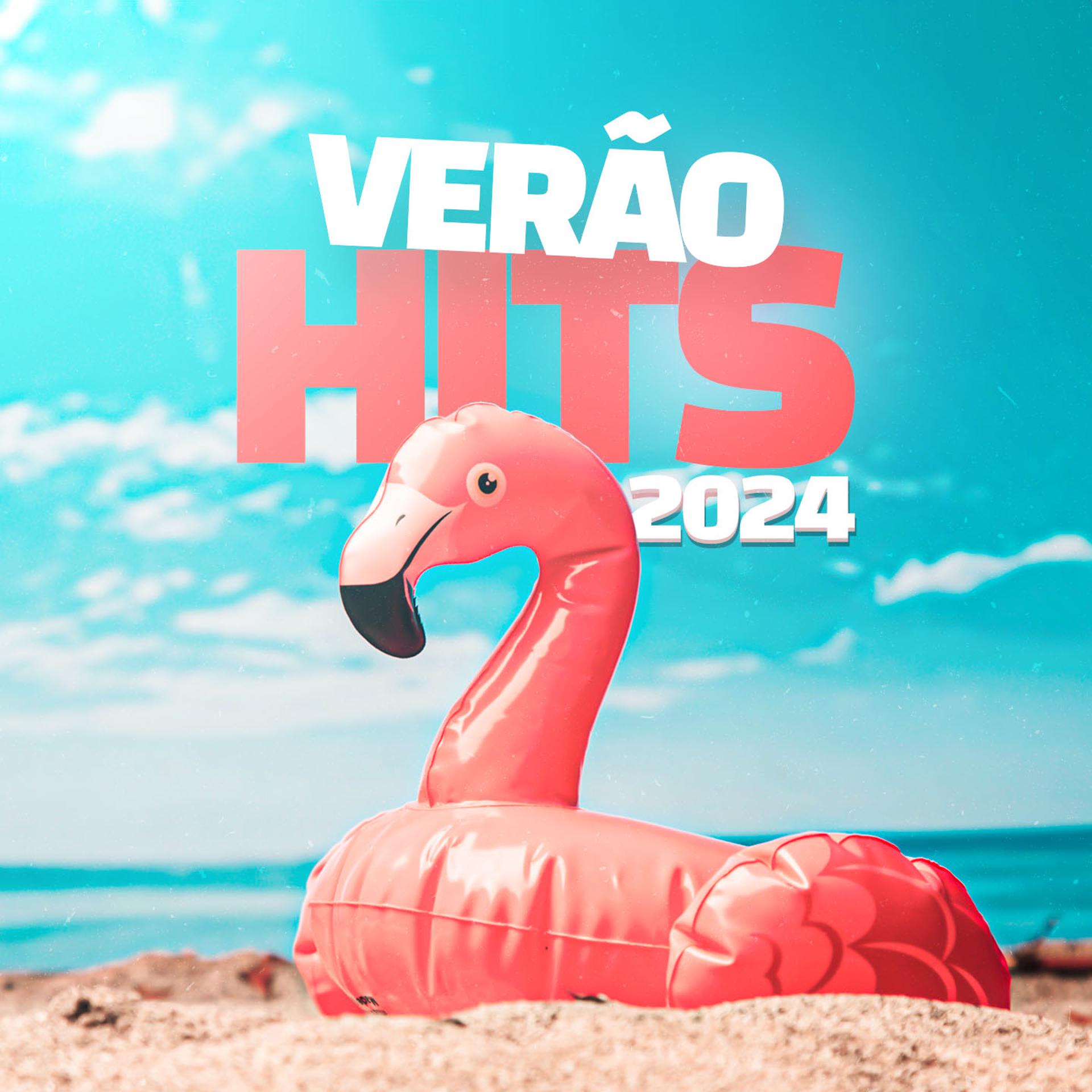 Постер альбома Verão Hits 2024