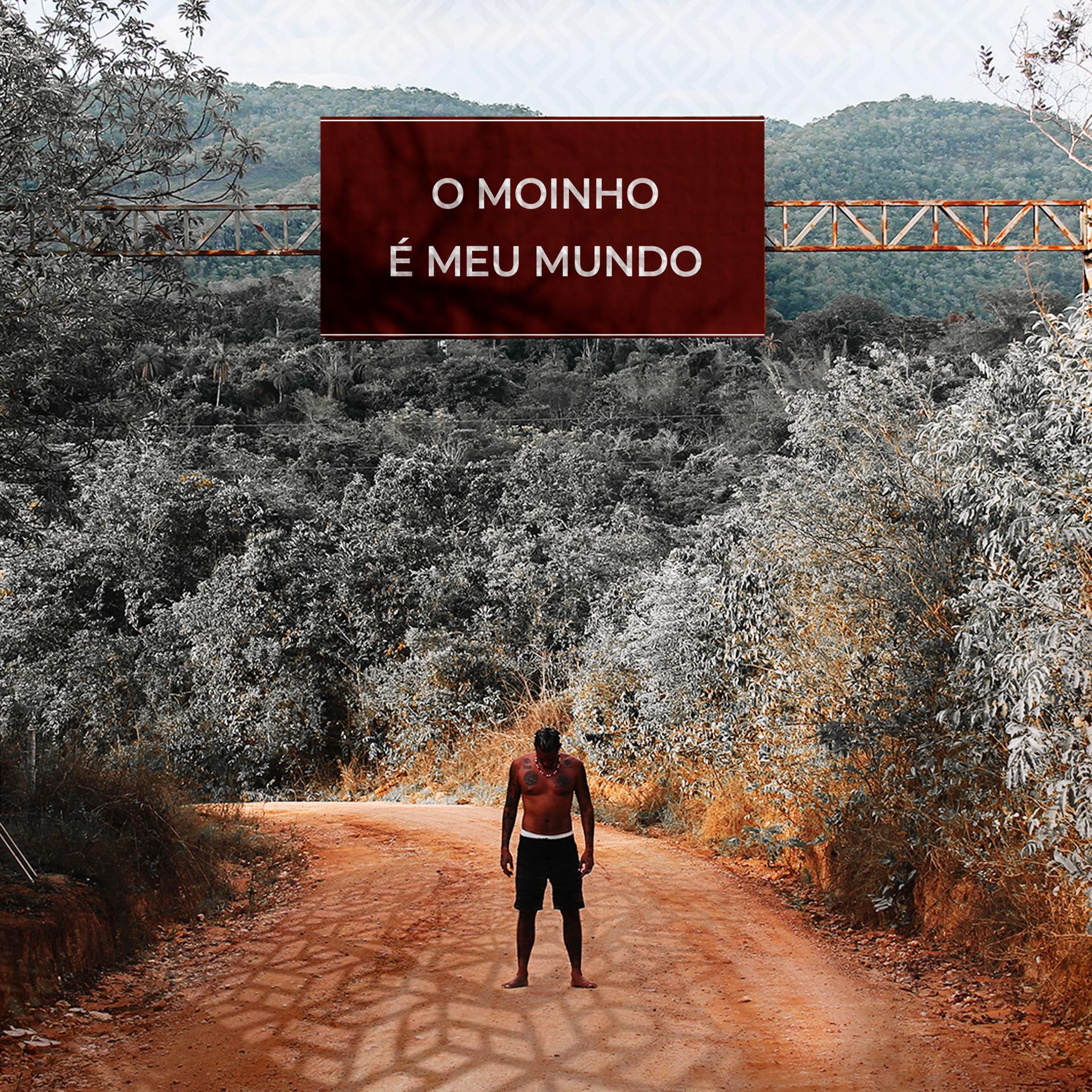 Постер альбома O Moinho É Meu Mundo
