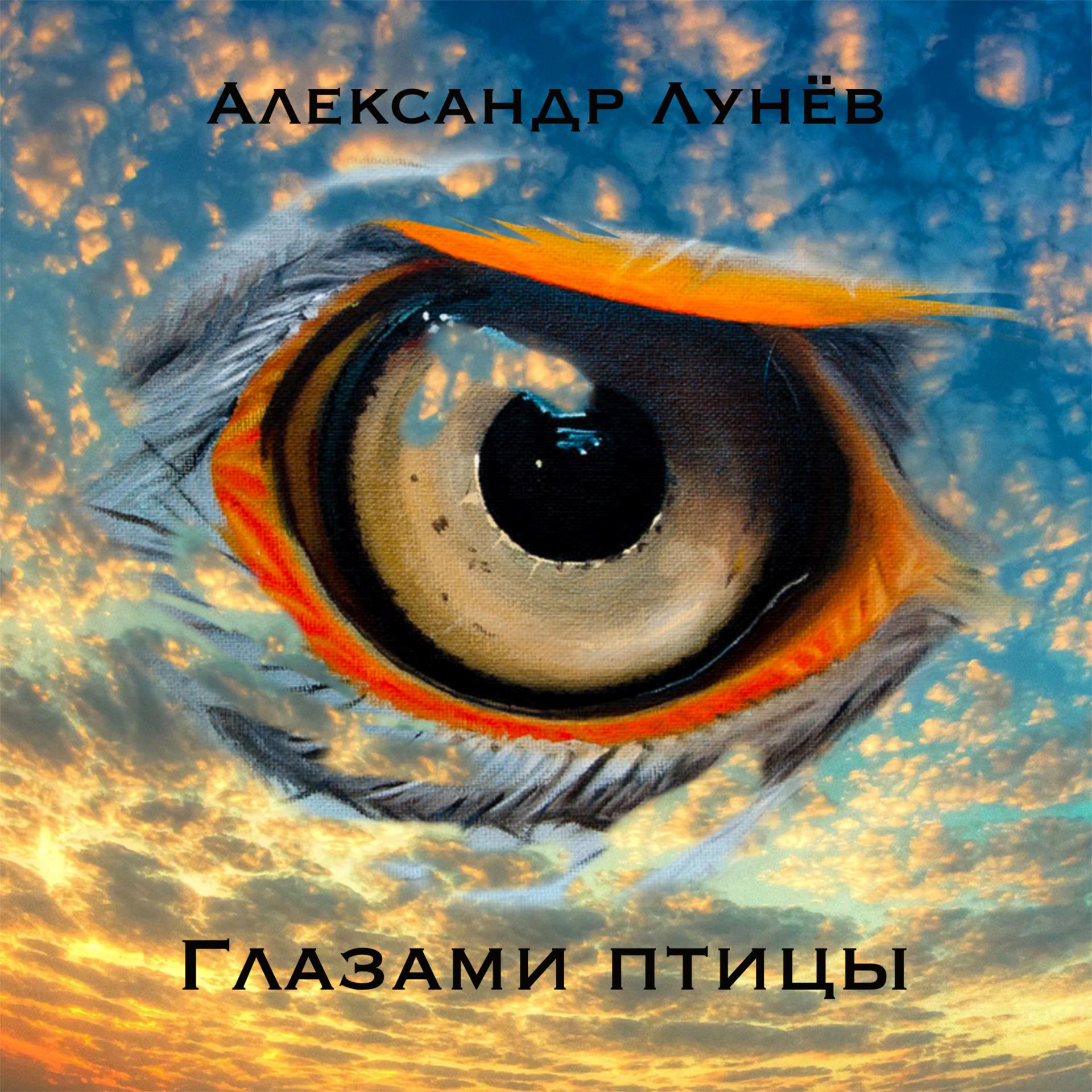 Постер альбома Глазами птицы