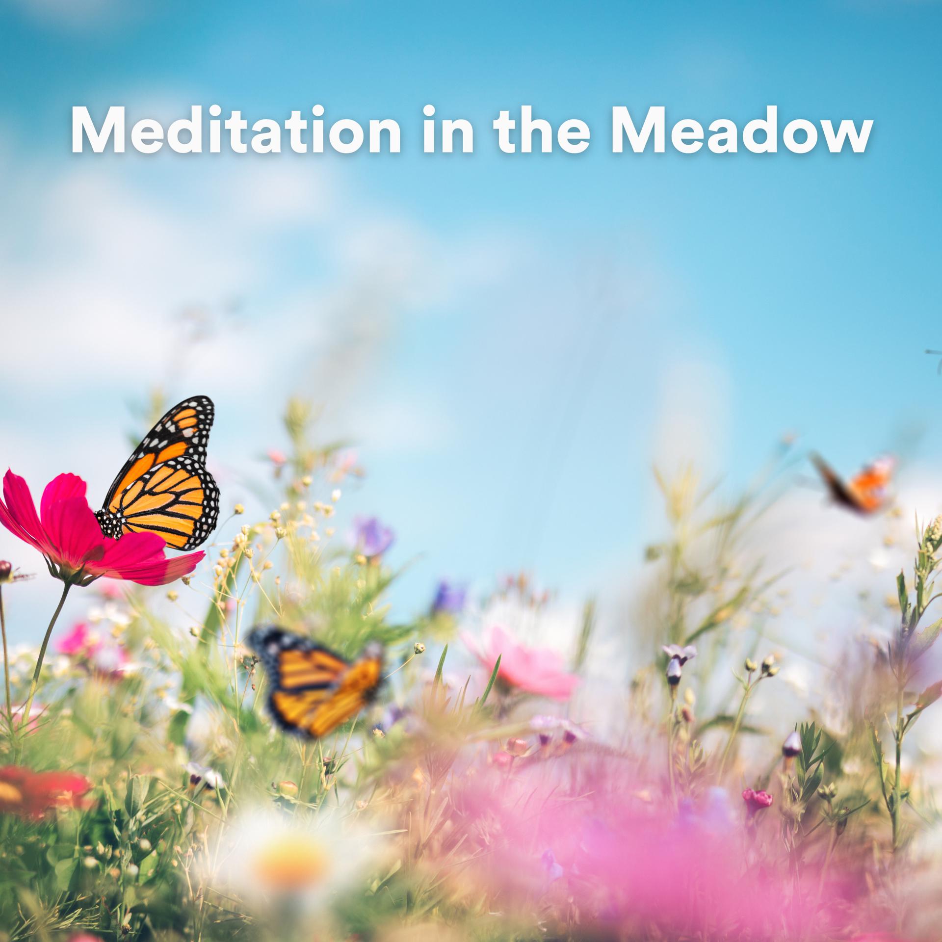Постер альбома Meditation in the Meadow