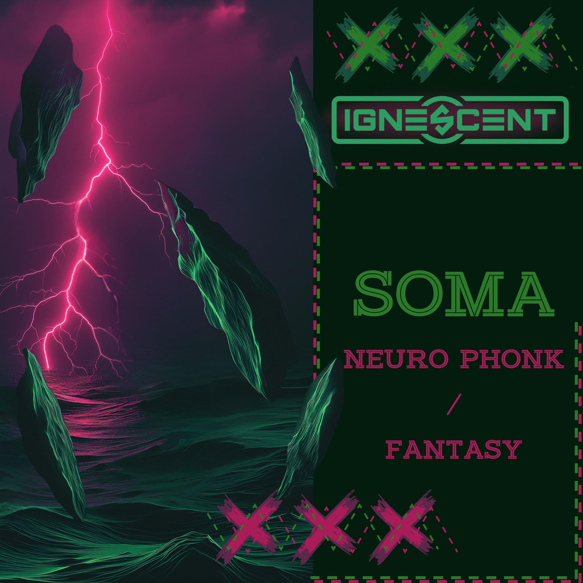 Постер альбома Neuro Phonk / Fantasy