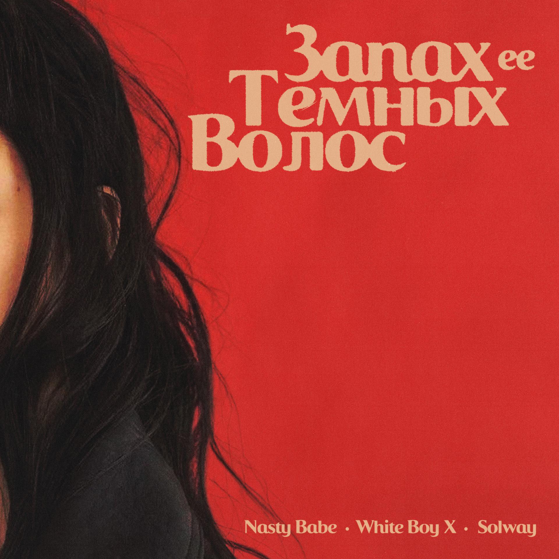 Постер альбома Запах её тёмных волос