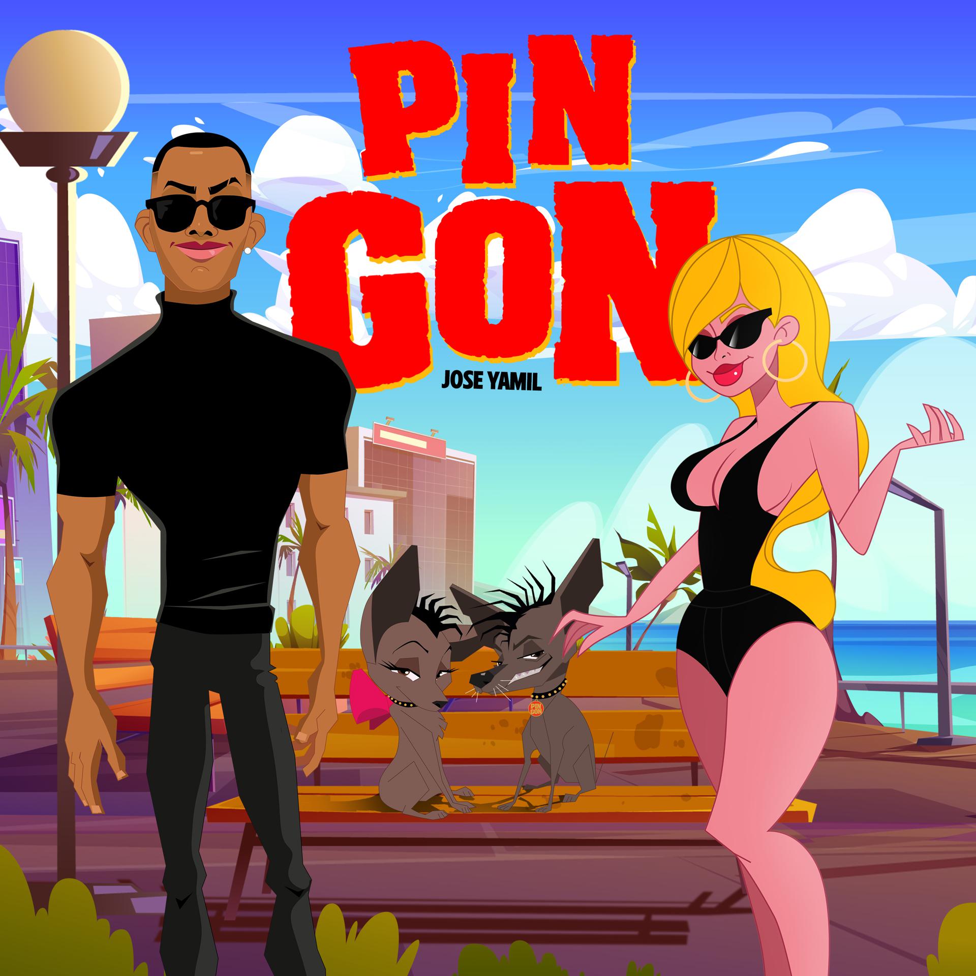 Постер альбома Pin Gon