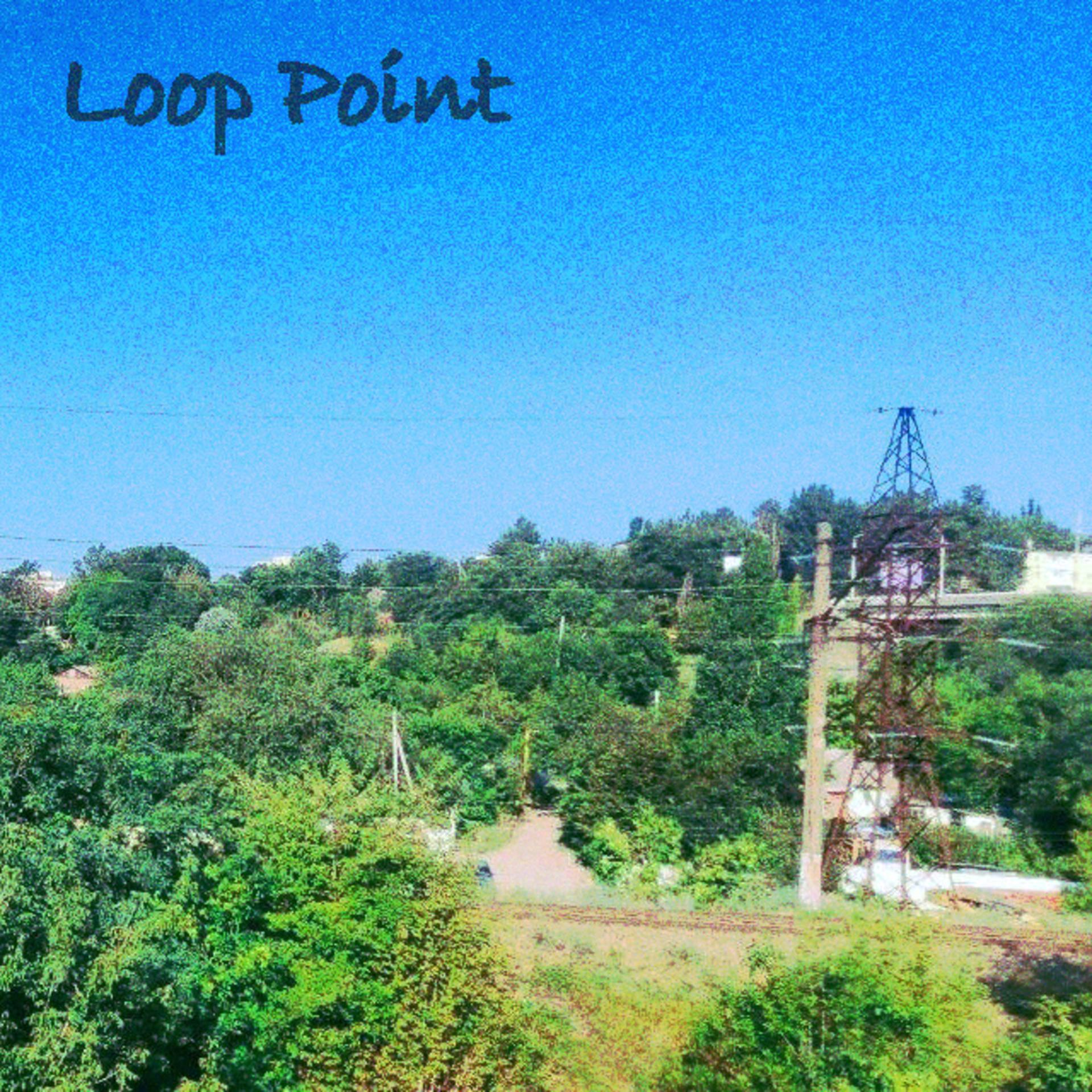 Постер альбома Loop Point