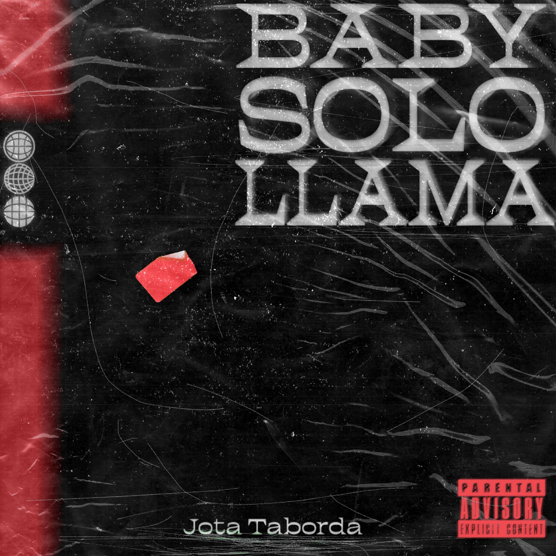 Постер альбома Baby Solo Llama