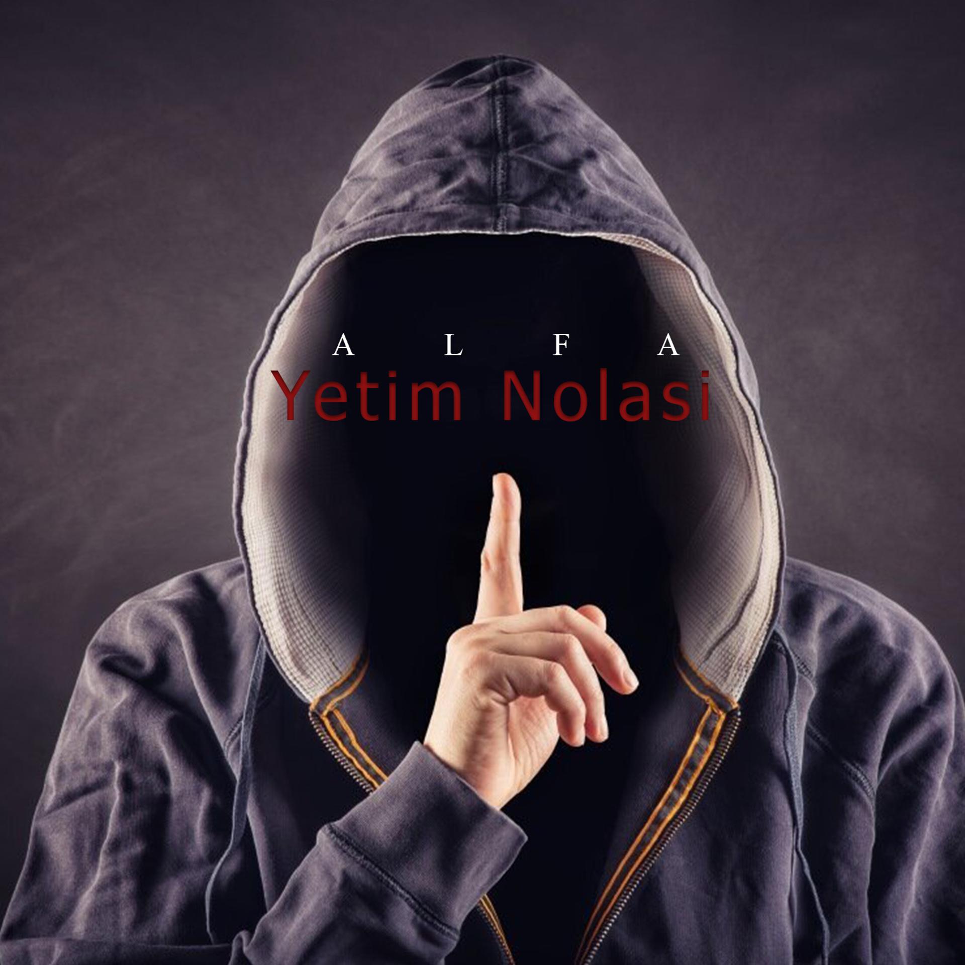 Постер альбома Yetim Nolasi
