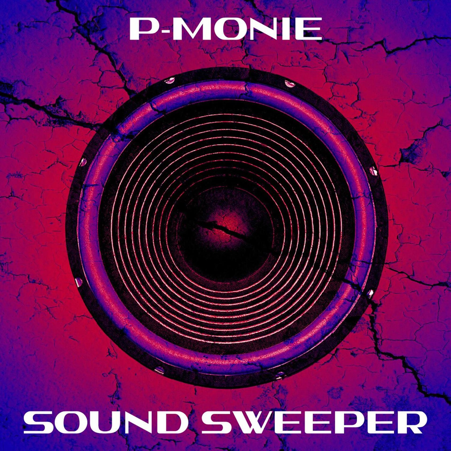 Постер альбома Sound Sweeper