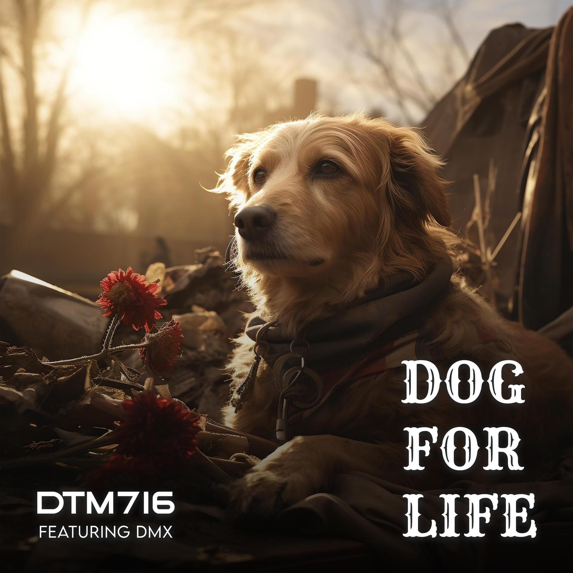 Постер альбома Dog For Life (feat. DMX)