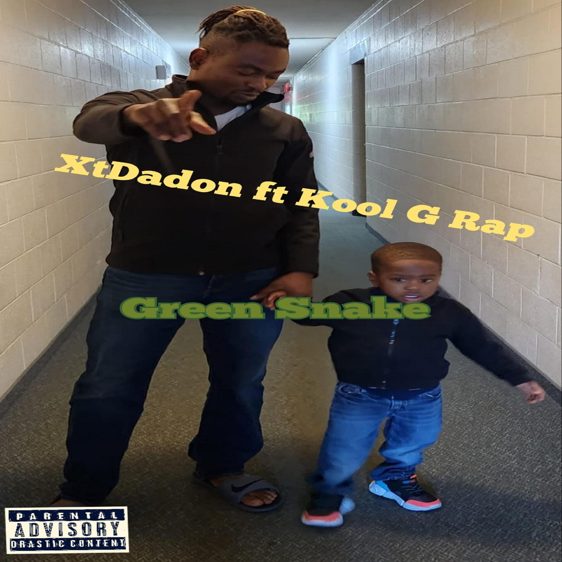 Постер альбома Green Snake (feat. Kool G Rap)