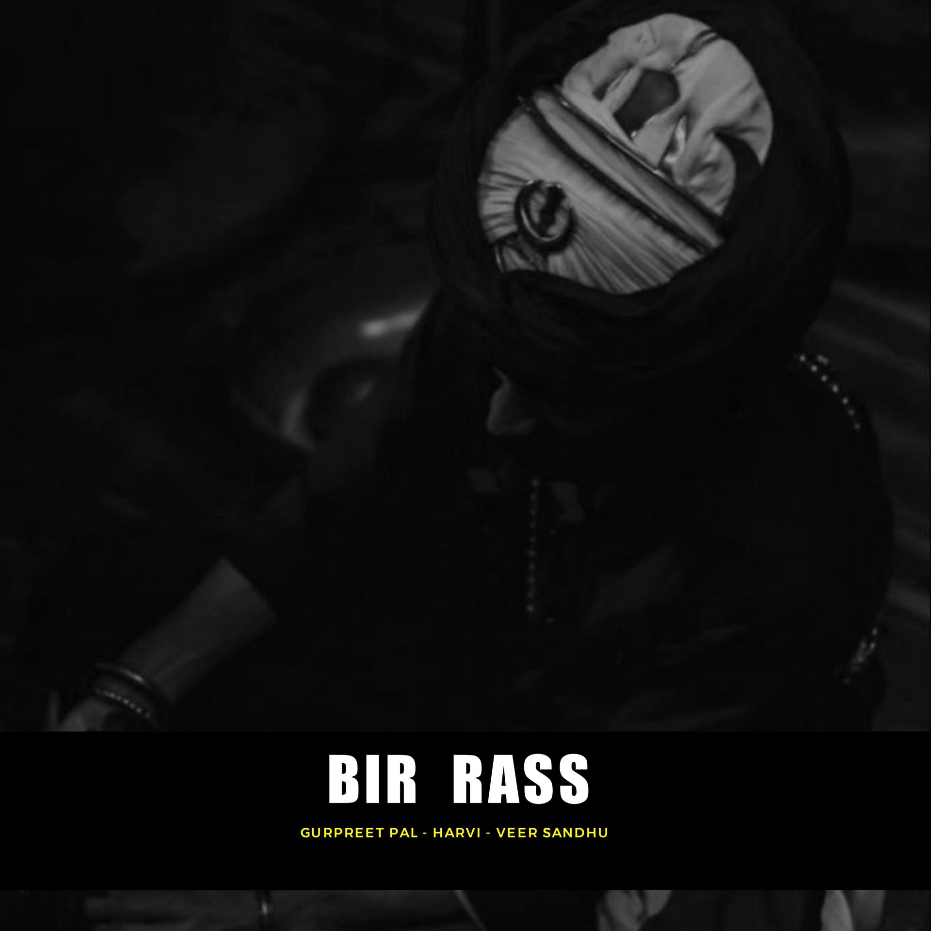 Постер альбома Bir Rass (feat. Harvi & Veer Sandhu)