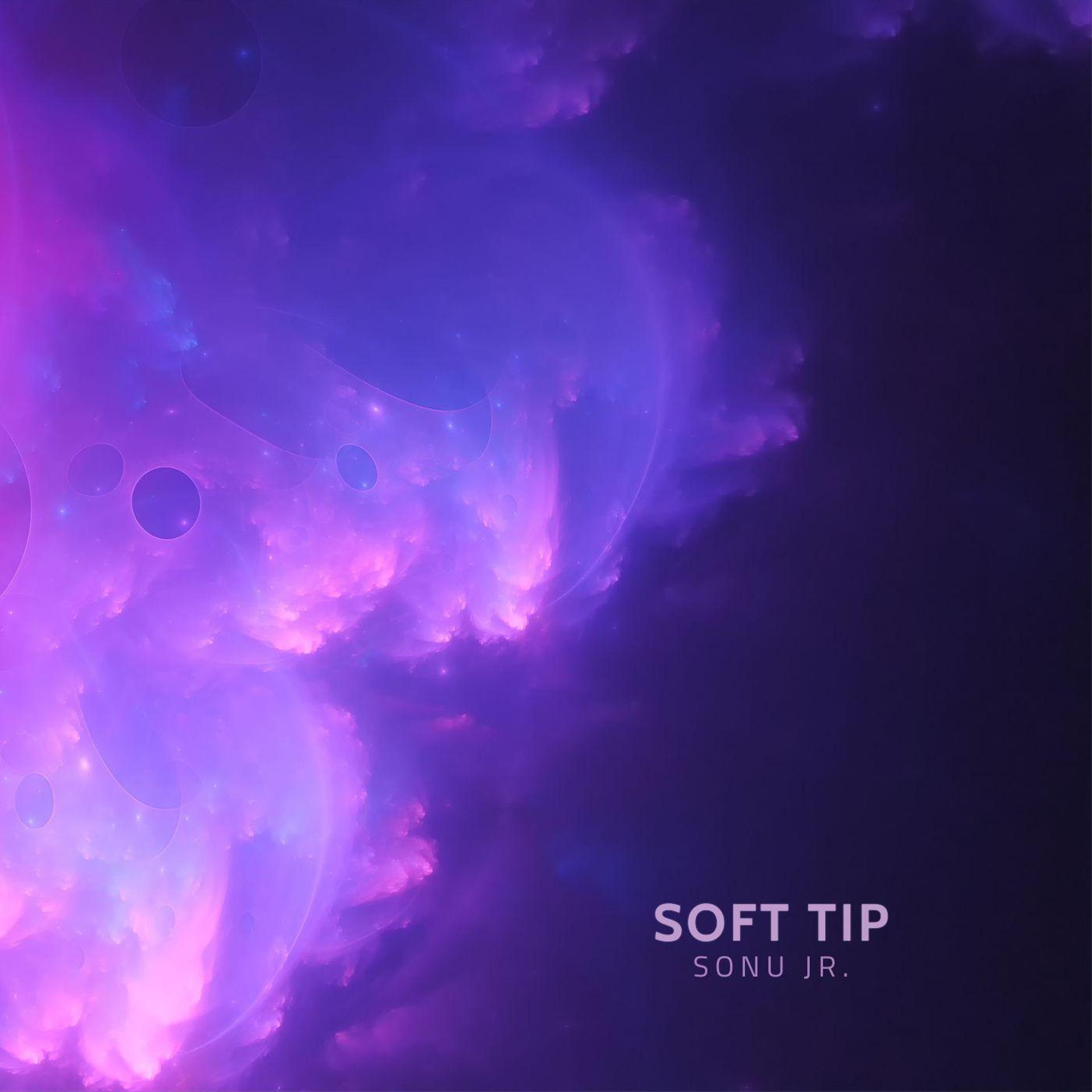 Постер альбома Soft tip (feat. Sonu Worldwide)