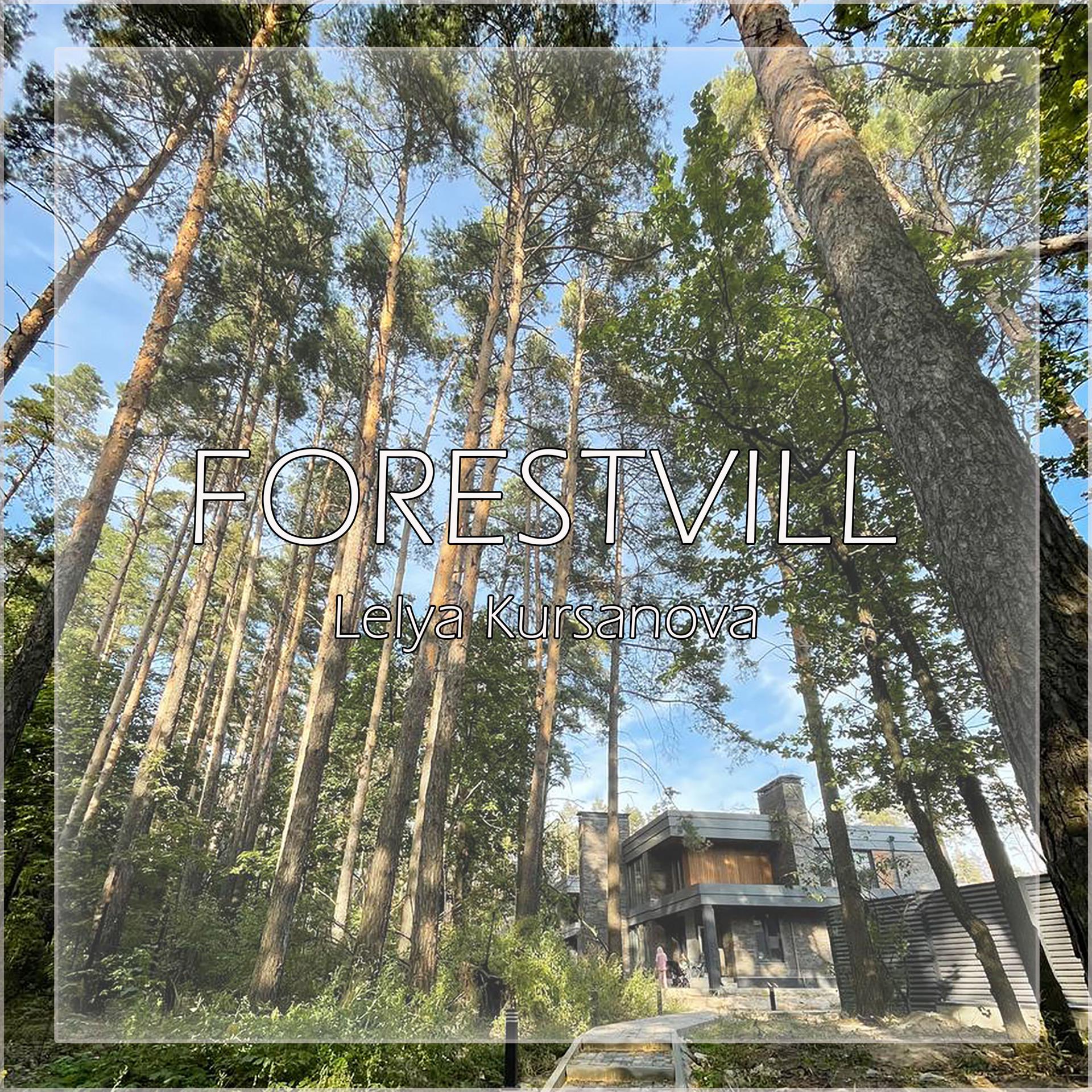 Постер альбома ForestVill