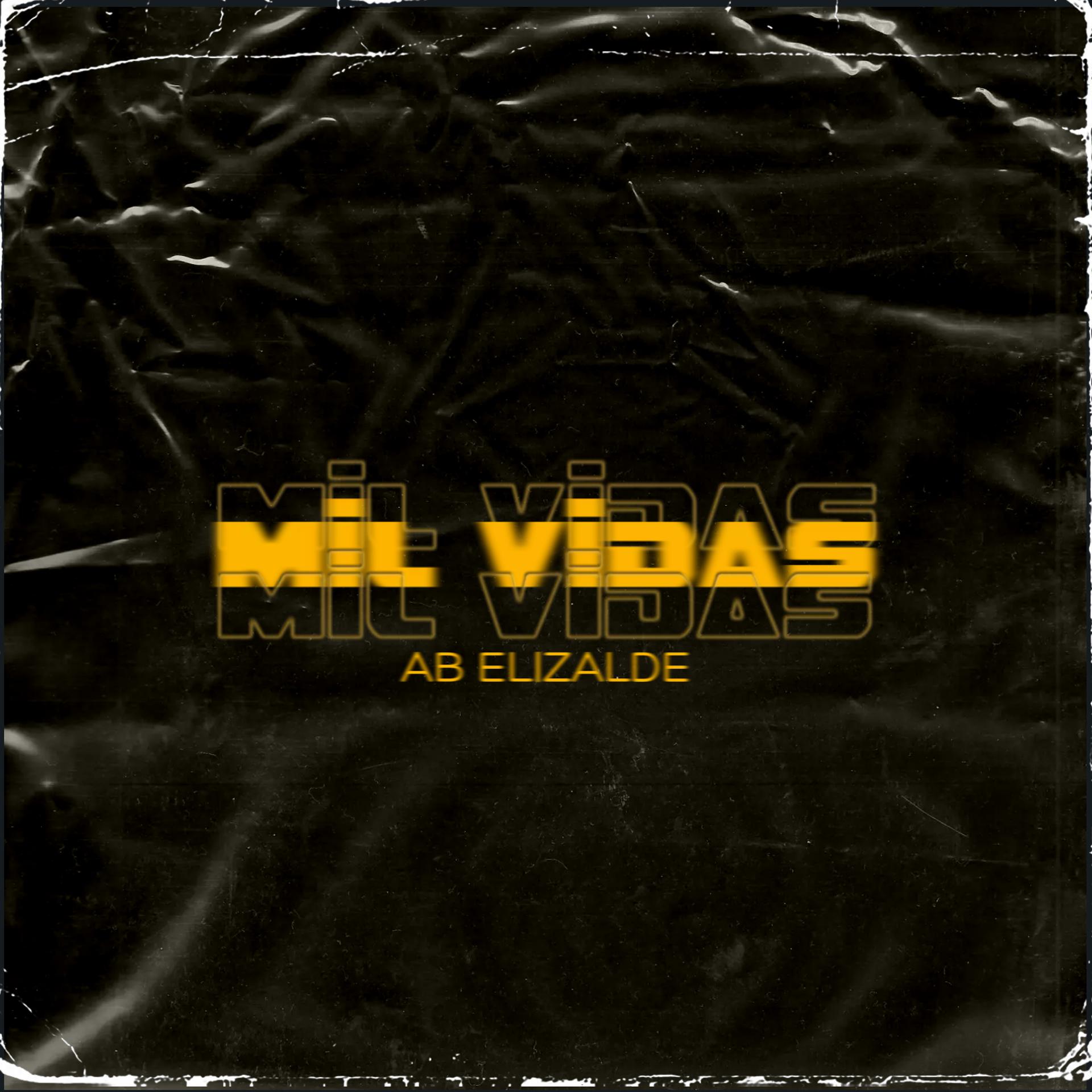 Постер альбома Mil Vidas