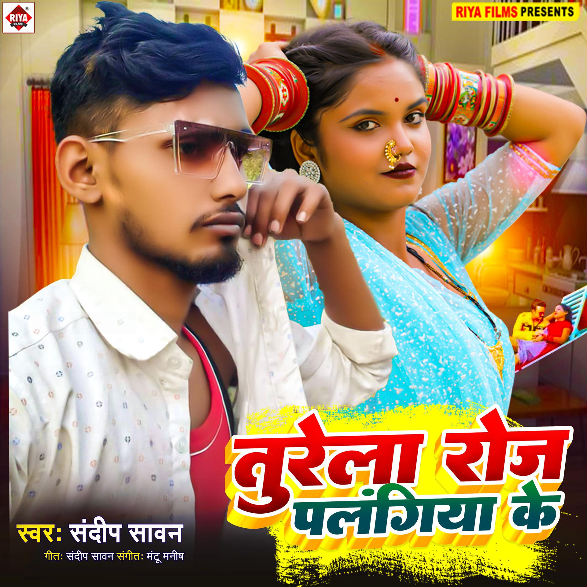 Постер альбома Turela Roj Palangiya Ke