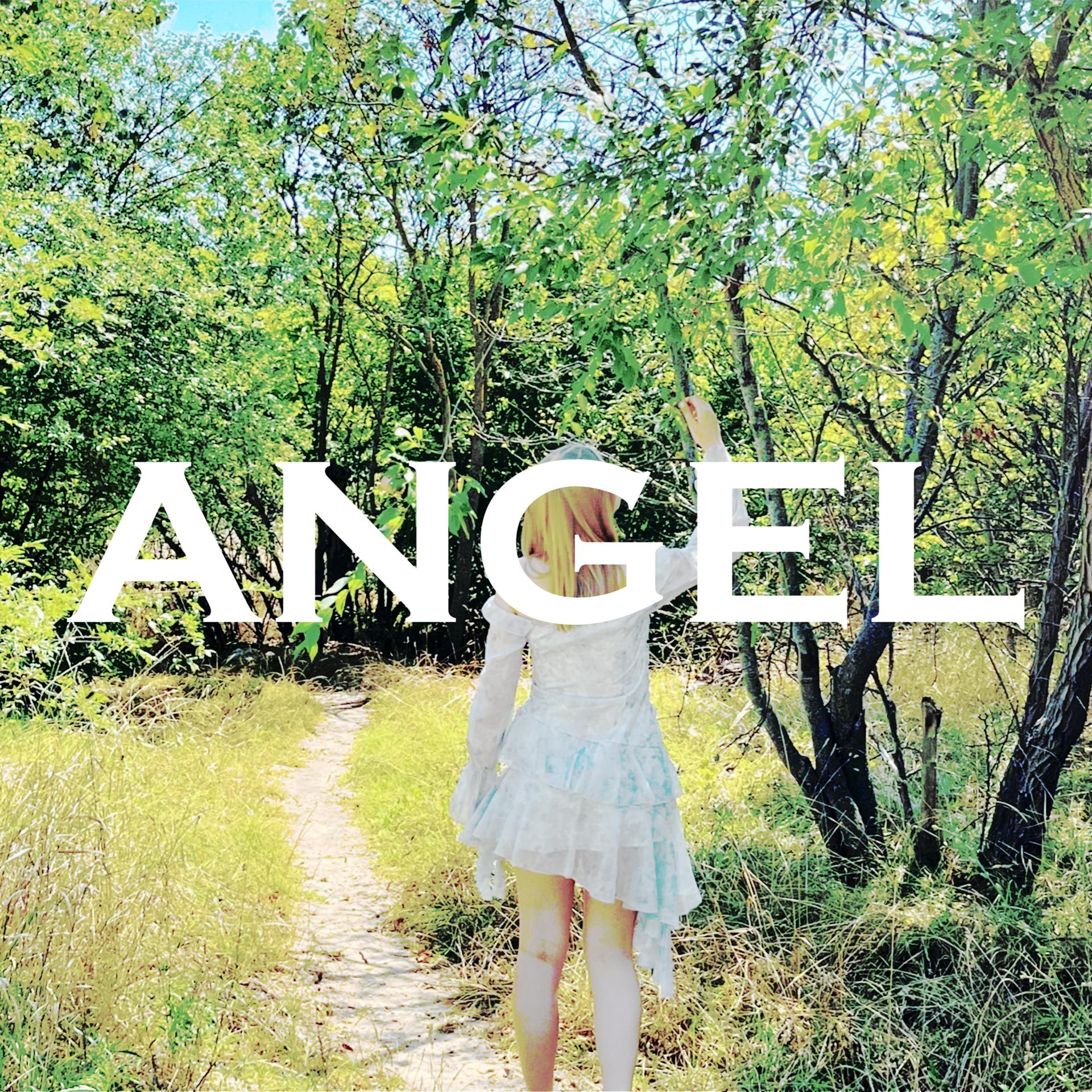 Постер альбома angel