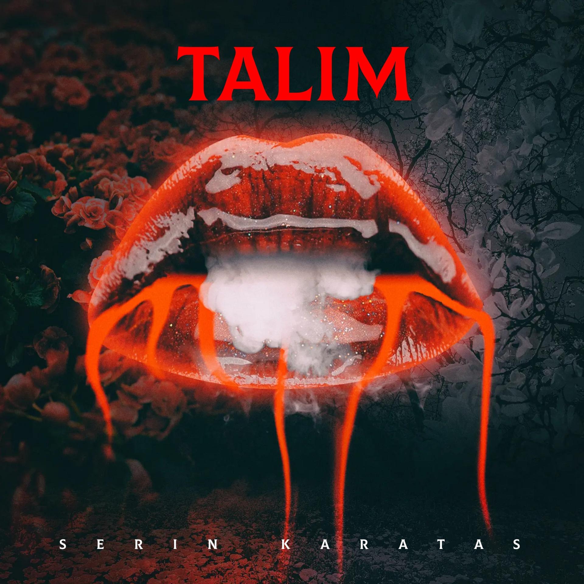 Постер альбома Talim