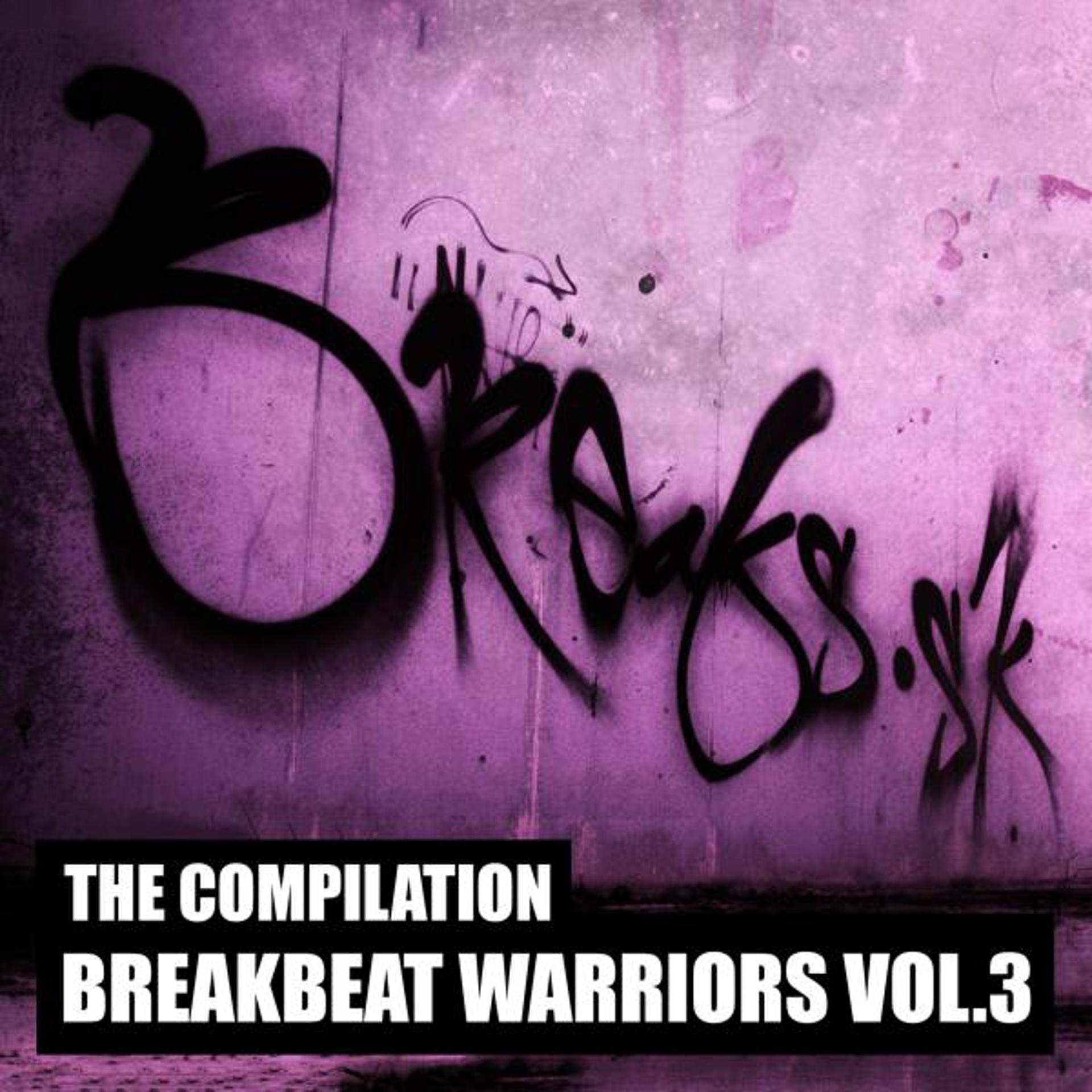 Постер альбома Breakbeat Warriors, Vol. 3
