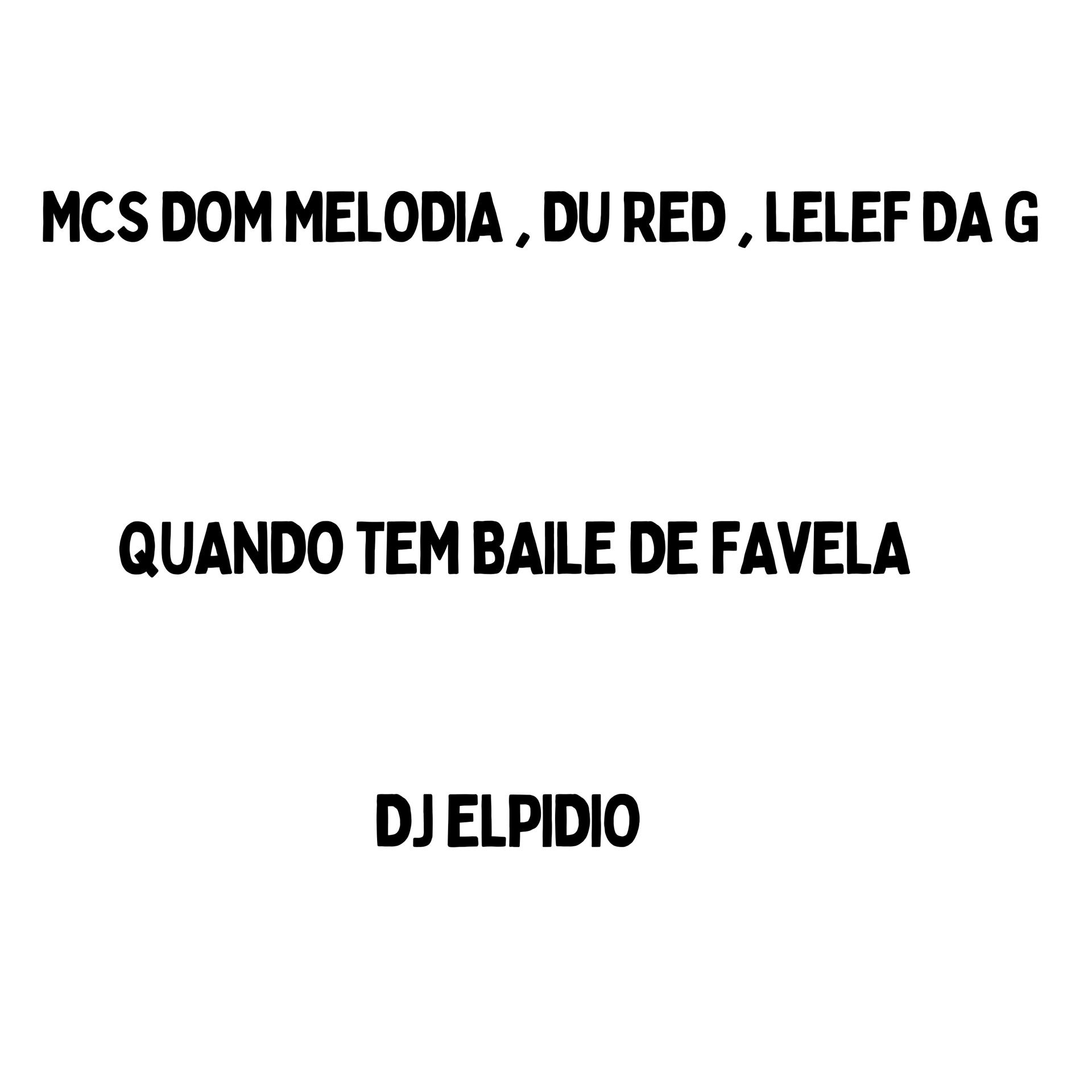 Постер альбома Quando Tem Baile de Favela