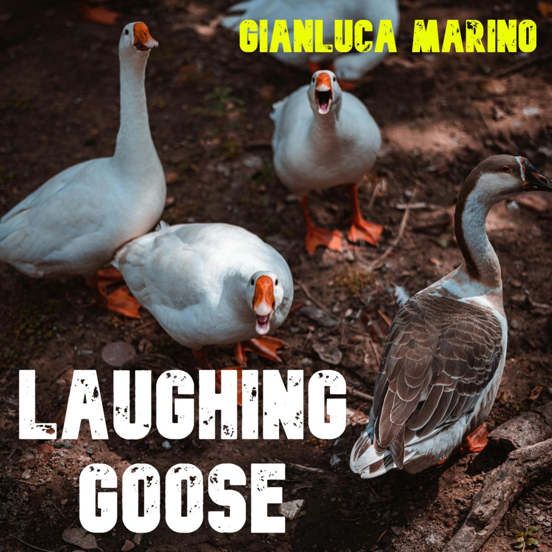 Постер альбома Laughing Goose