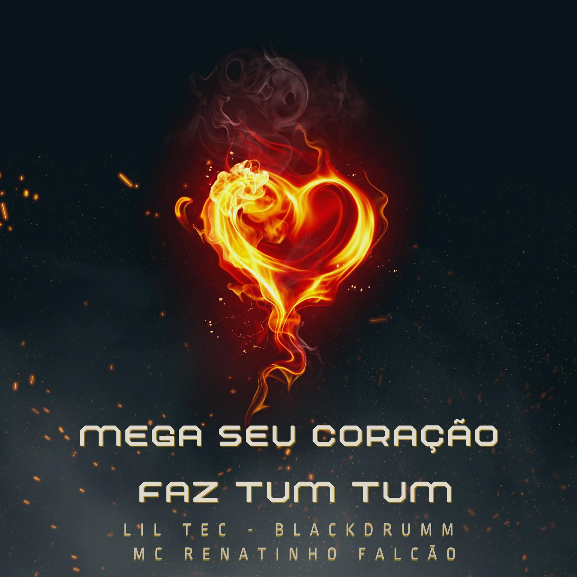 Постер альбома Mega Seu Coração Faz Tum Tum