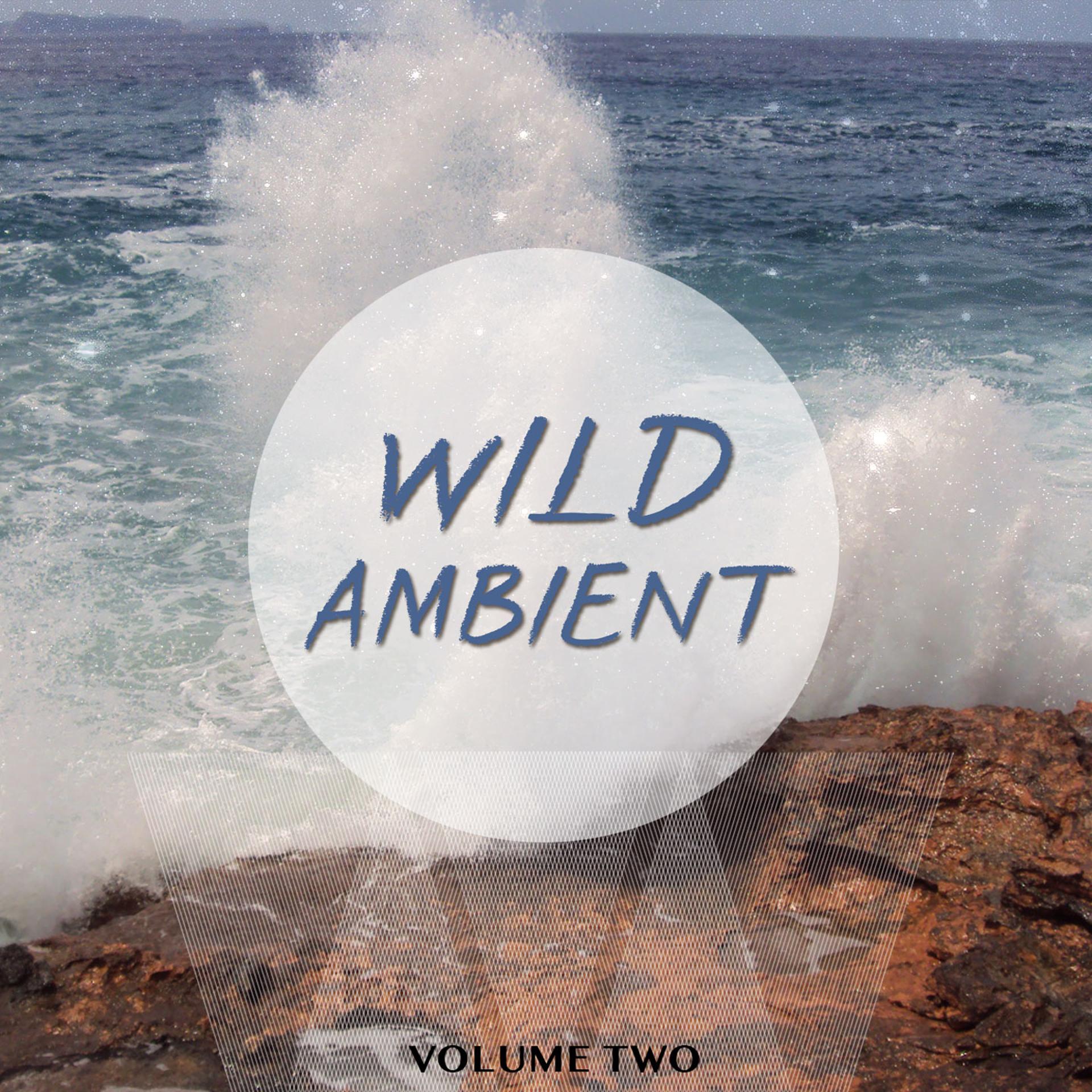 Постер альбома Wild Ambient, Vol. 2