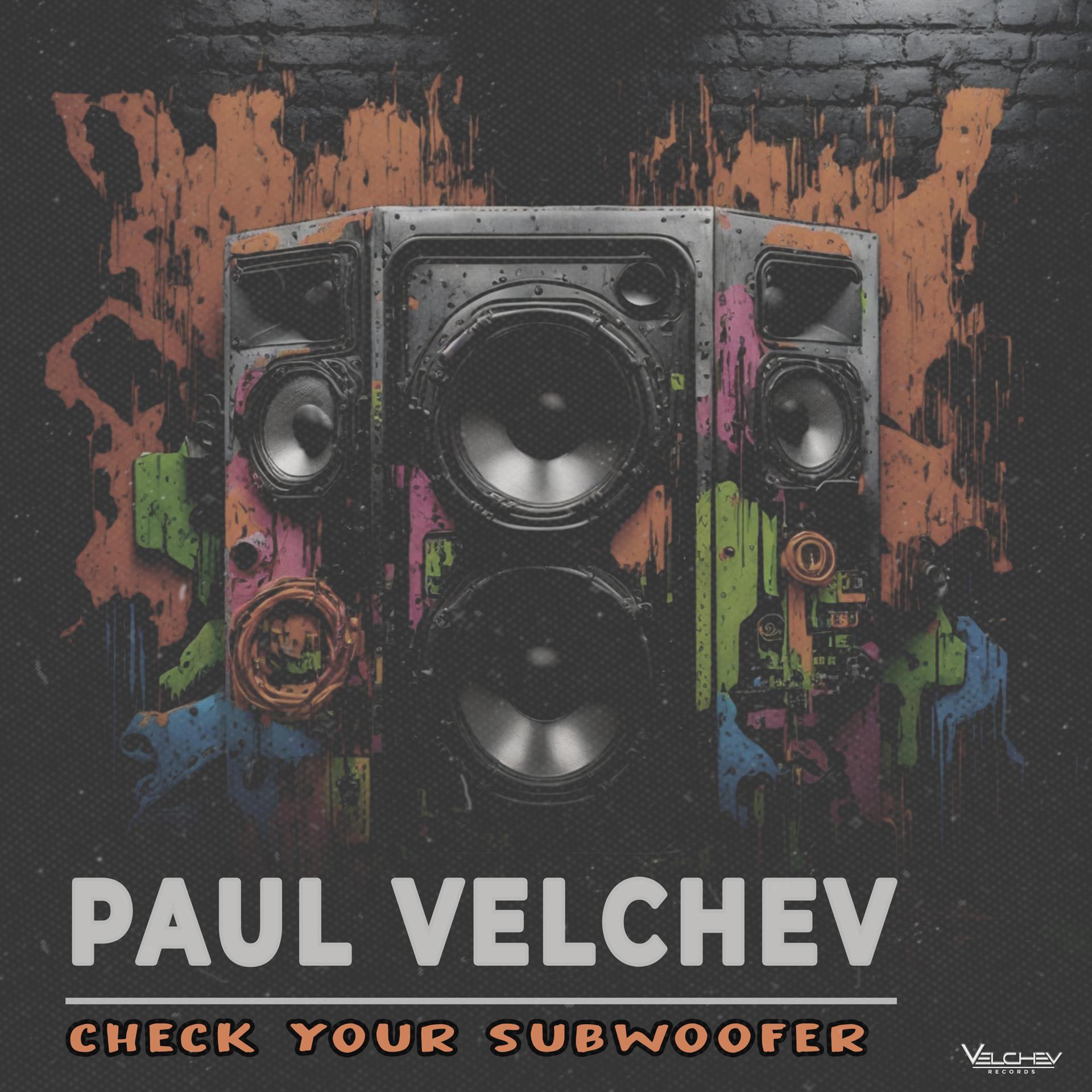Постер альбома Check Your Subwoofer