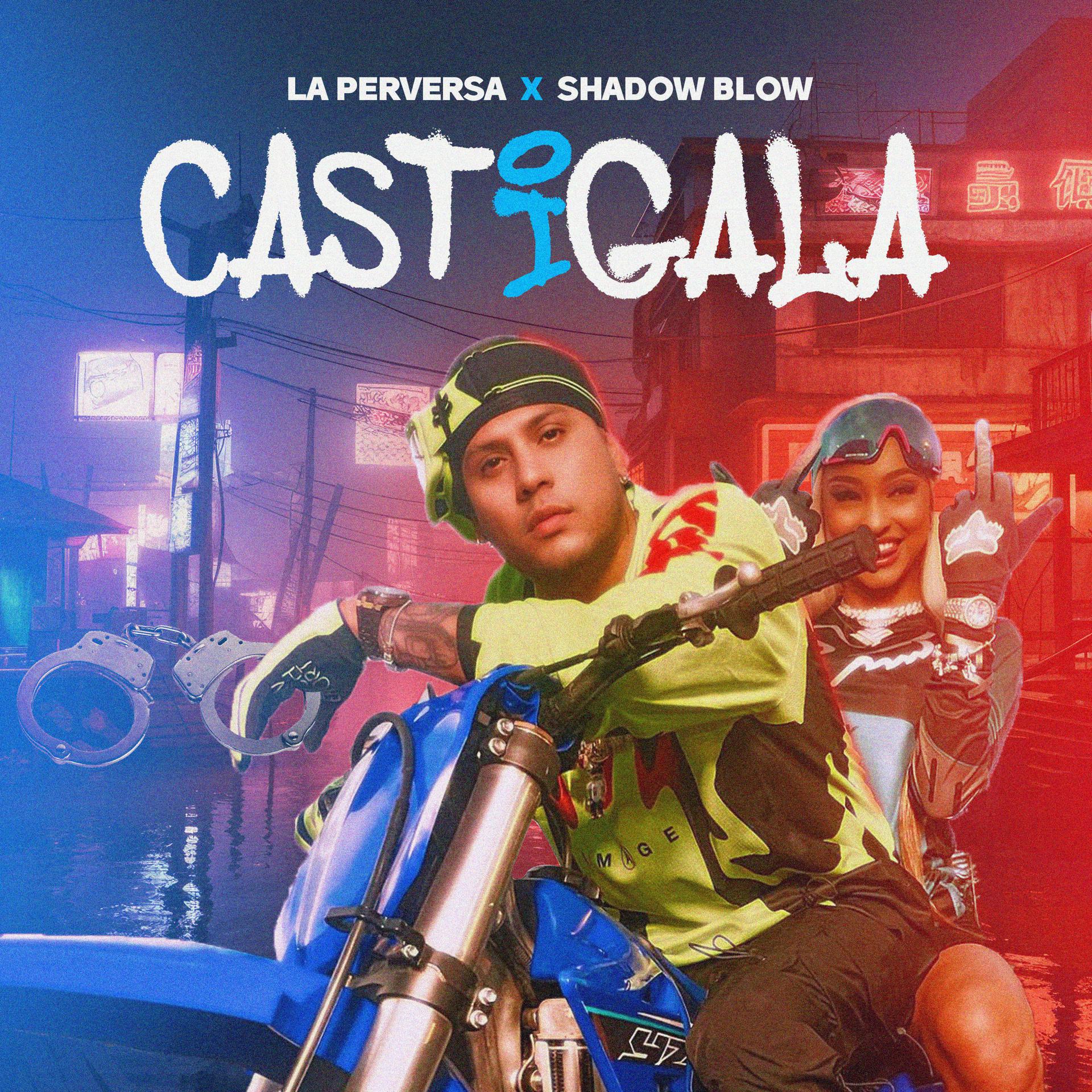 Постер альбома Castigala
